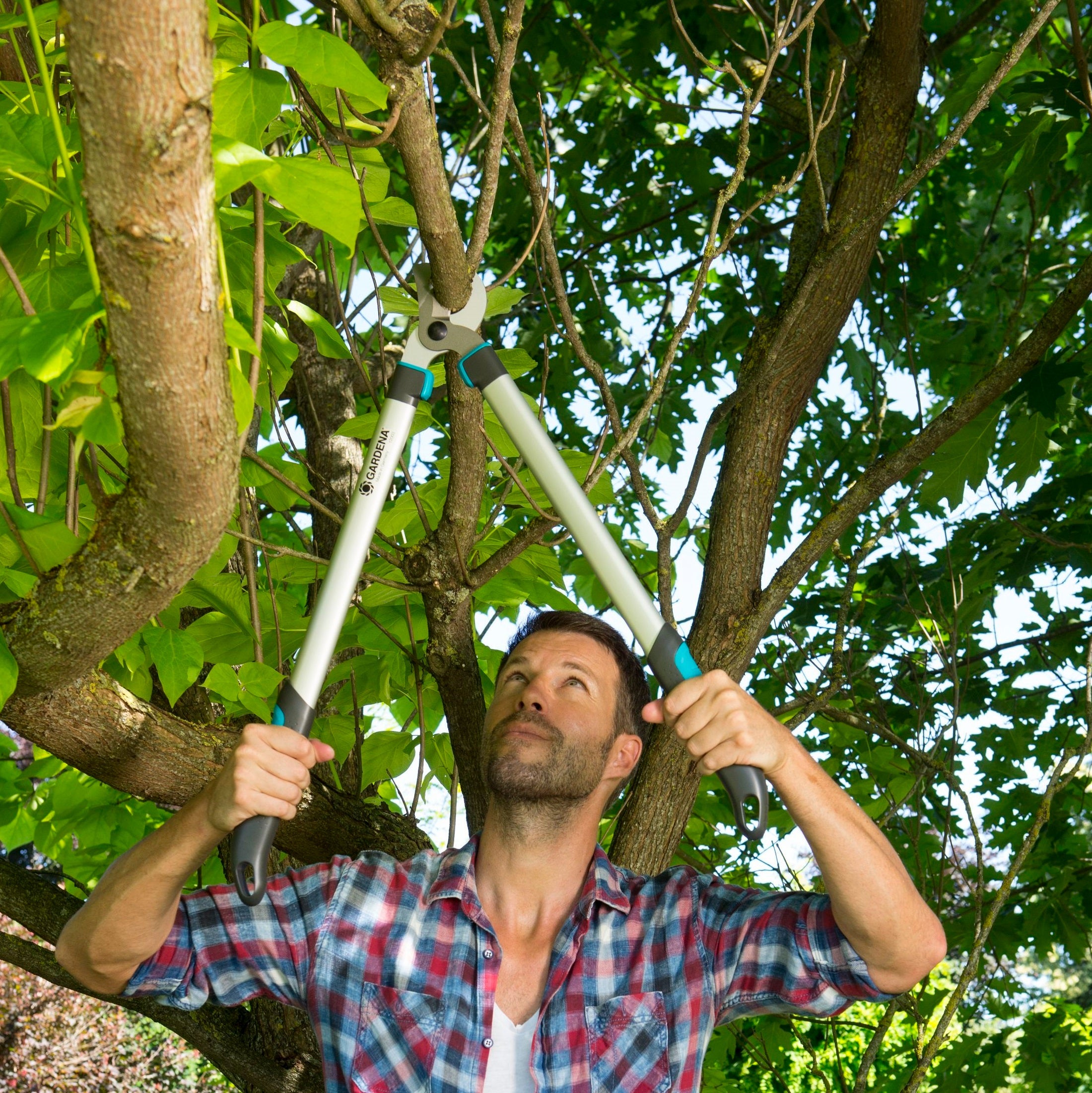 Coupe branche Gardena - 0