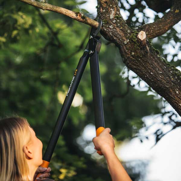 Coupe-branche Fiskars