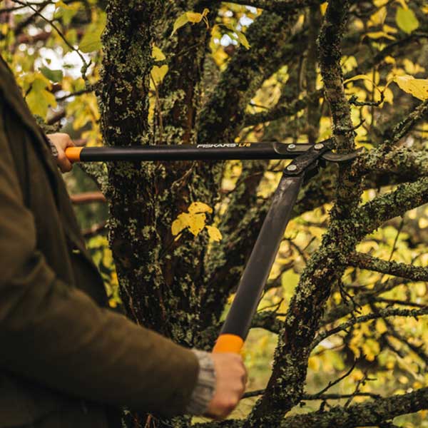 Coupe-branche Fiskars