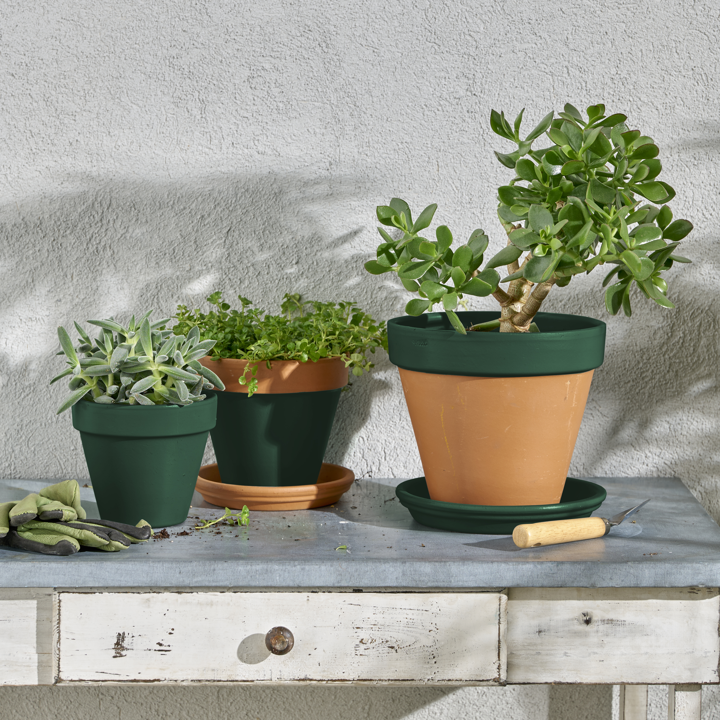 Multisupports LUXENS vert mousse ral 6005 satiné 400 ml - 3