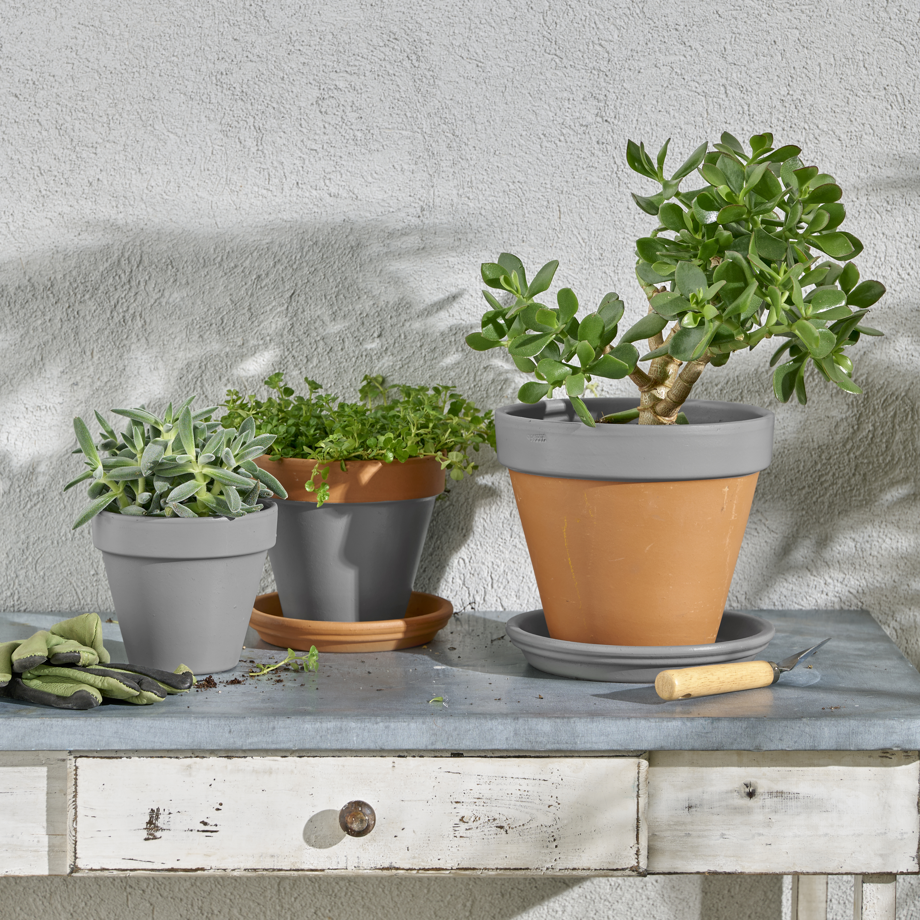 Multisupports LUXENS granit 3 satiné 400 ml - 3