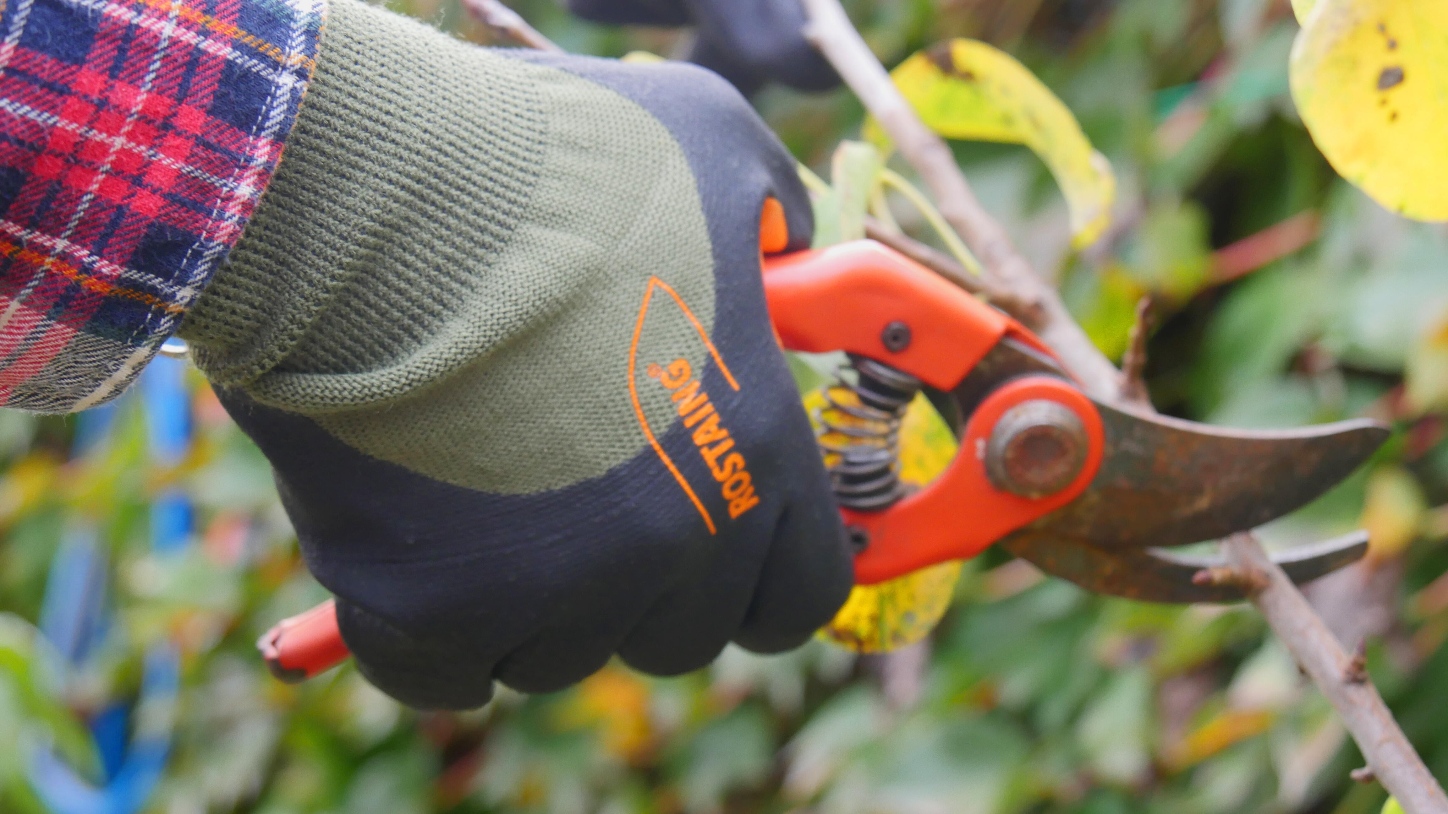 Gants de protection touch demi-saison renfort pronatur T.9 - ROSTAING - 3
