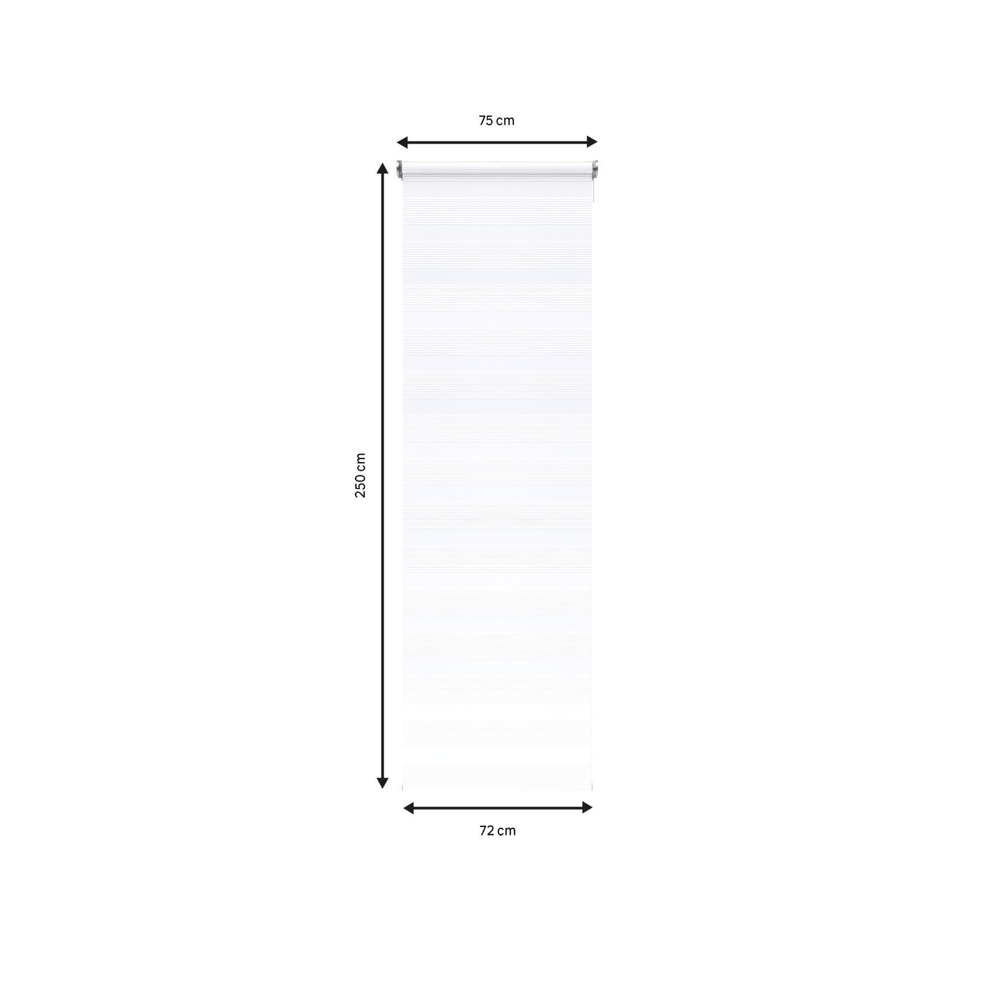 Estor motorizado enrollable noche y día athenes blanco blanco inspire 75x250cm