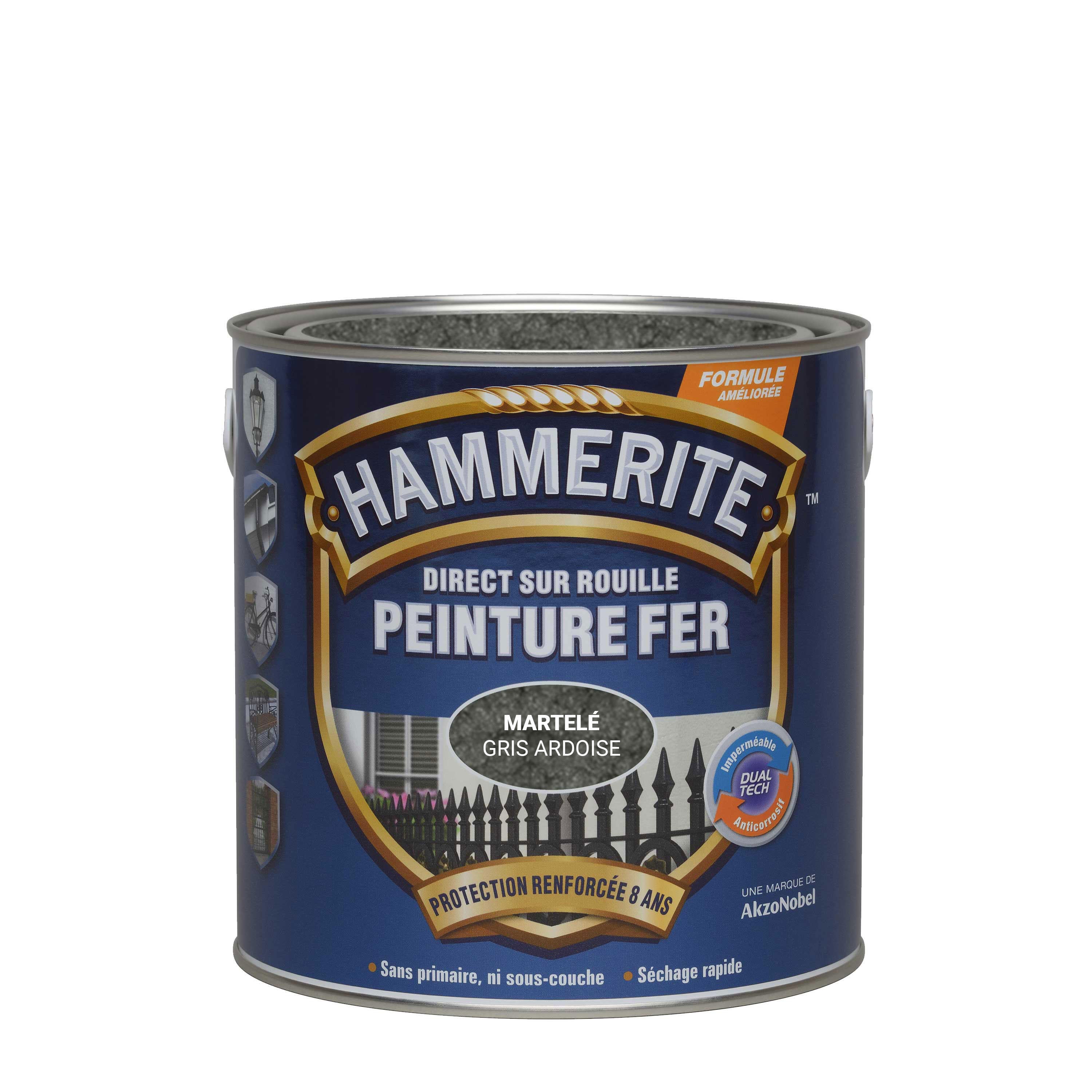 Peinture extérieure fer Martelé HAMMERITE gris ardoise mat  2.5l - 3