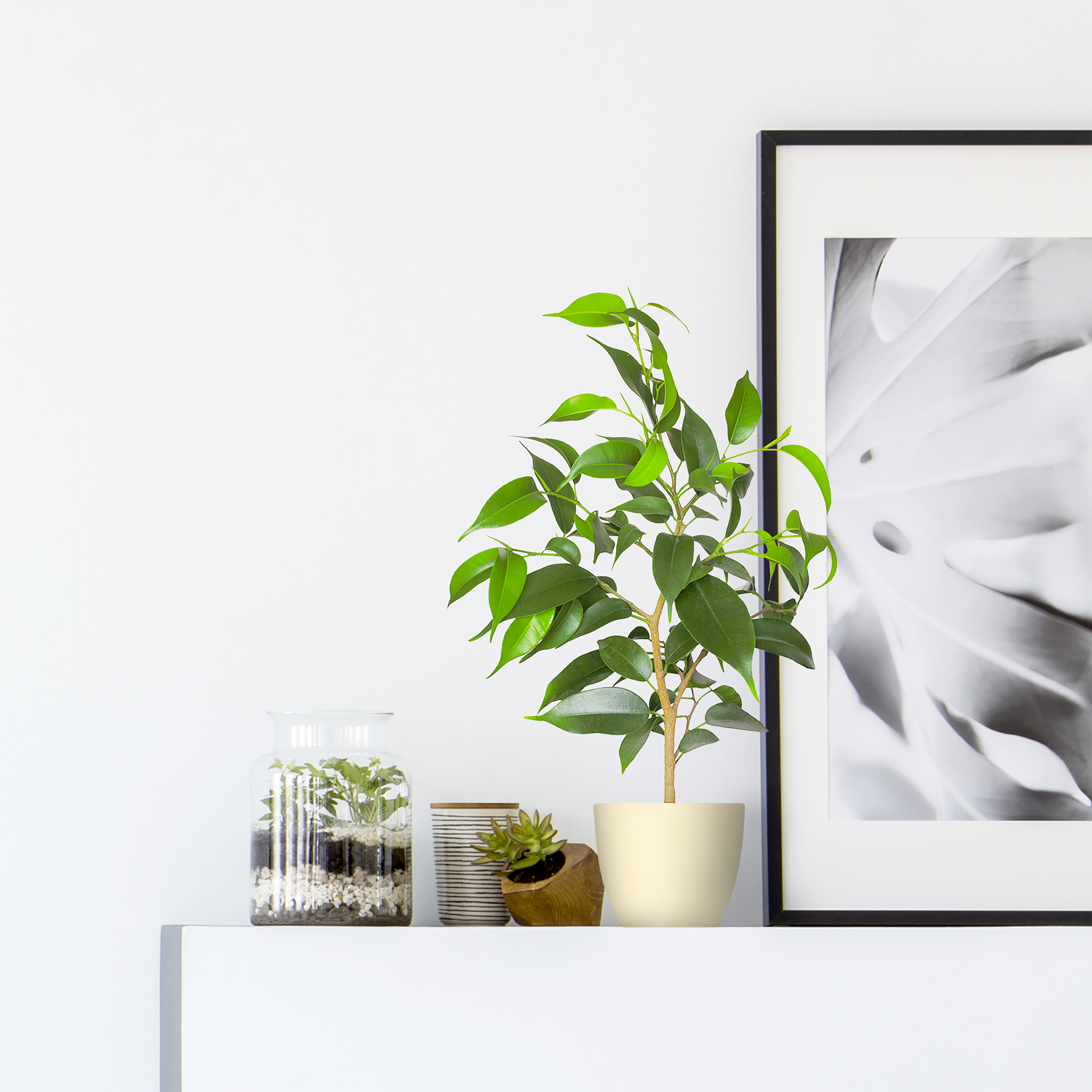 Spray decorativo piedra LUXENS 400ml piedra blanca - 4