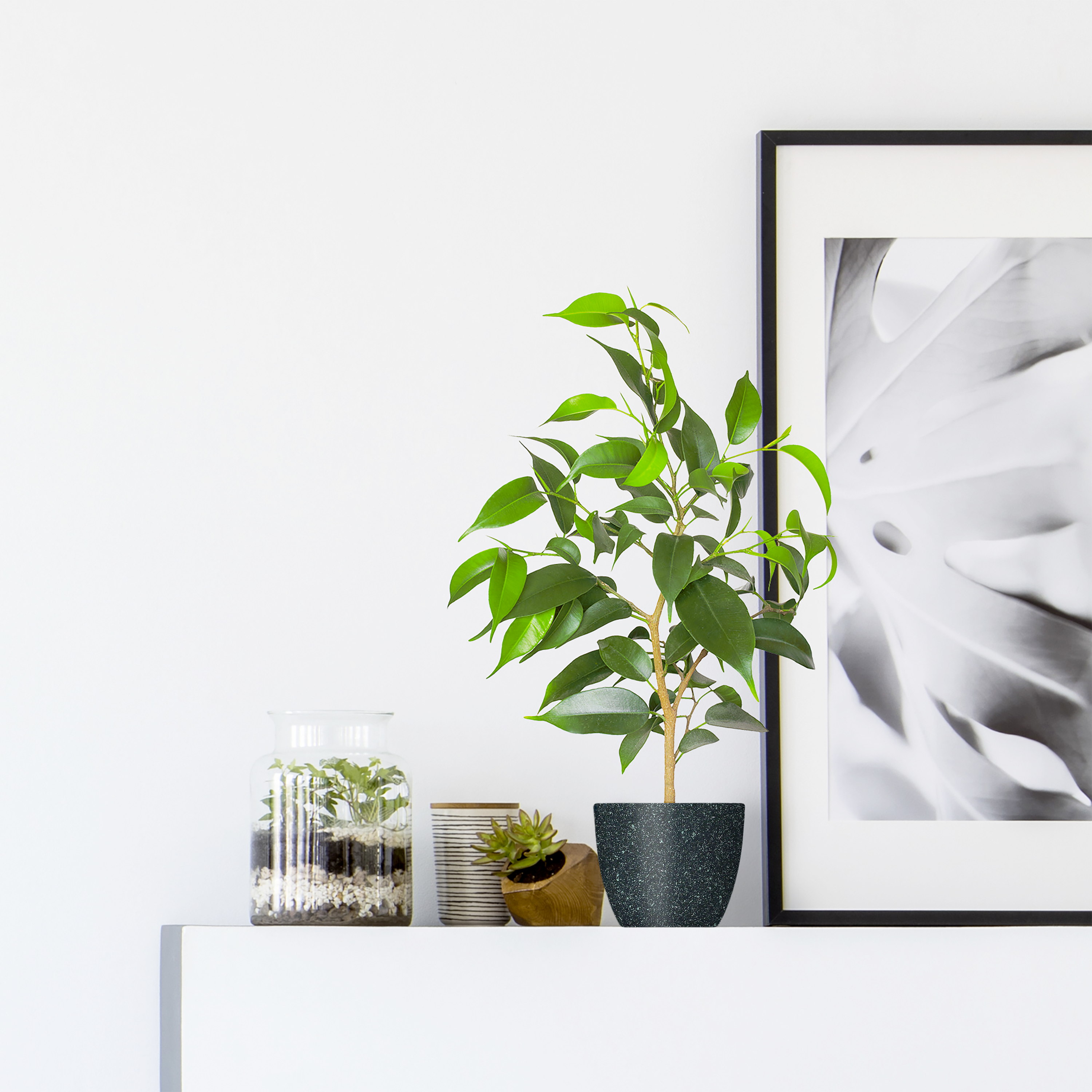 Spray decorativo piedra LUXENS 400ml negro - 4