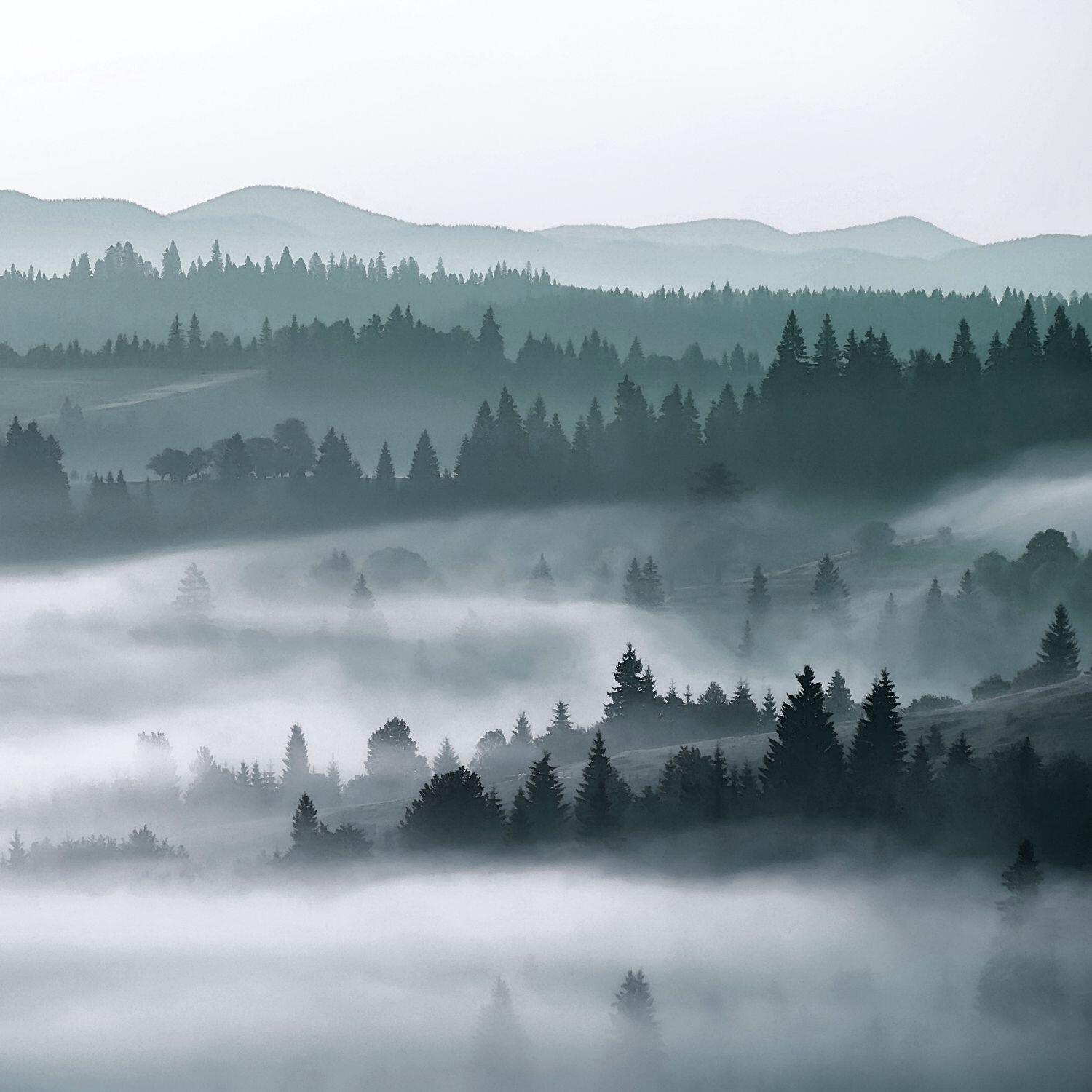 Fotomurale ESTA Montagne, verde 279X280 cm - 2