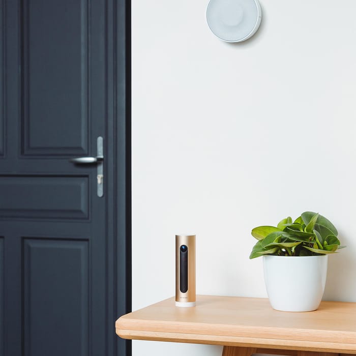 Sirène Netatmo Sirène Intérieure Connectée