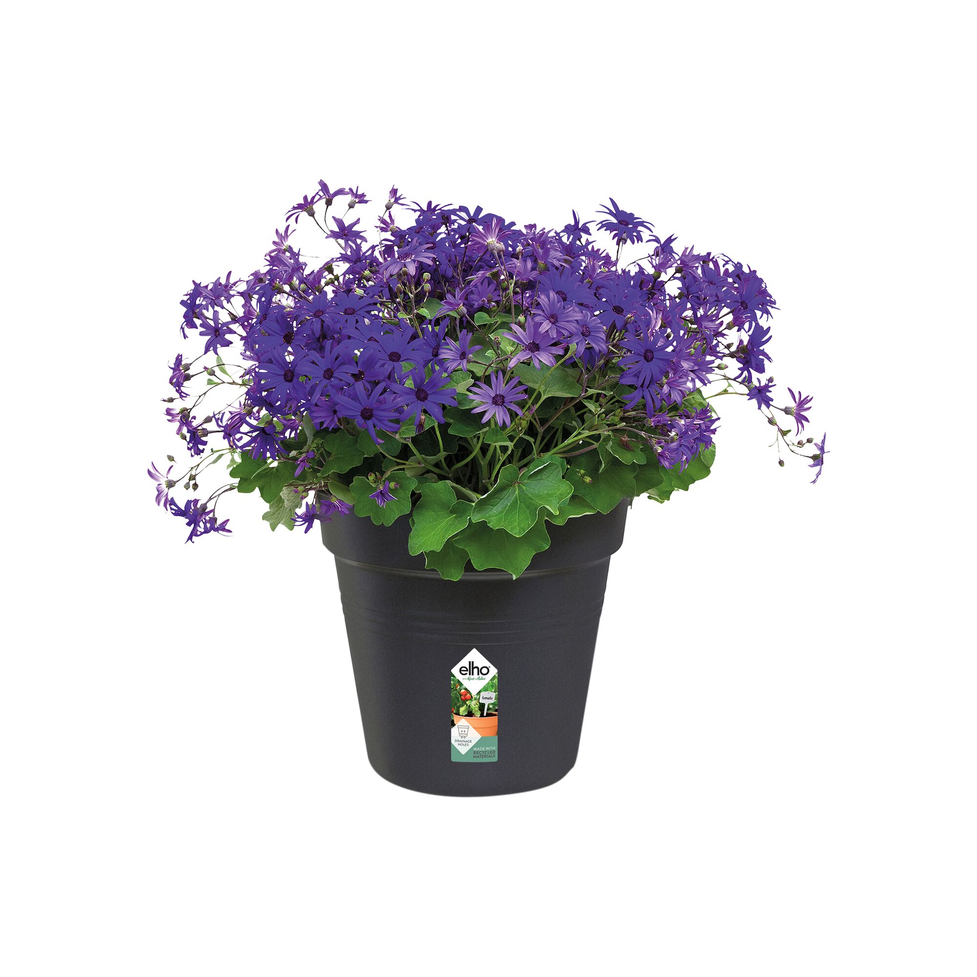 Vaso Basics Growpot ELHO in polipropilene nero H 24.7 x ø 27 cm - 3