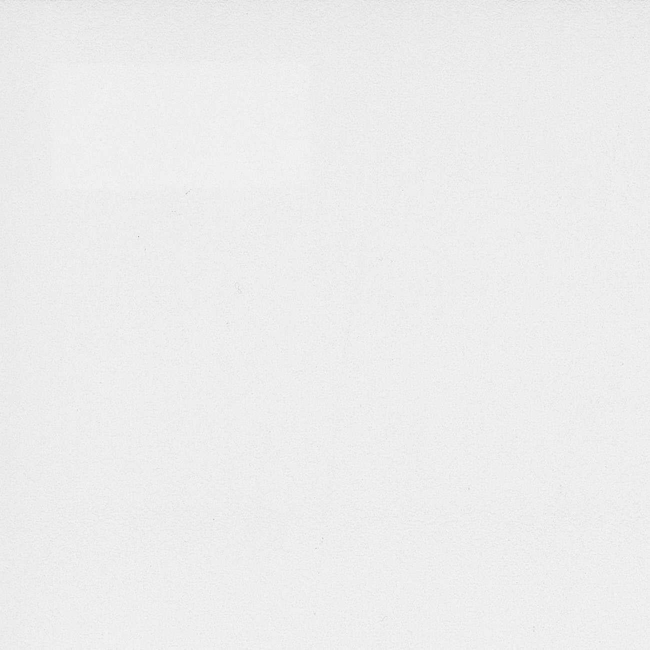 Papier peint intissé Lisse mat INSPIRE blanc - 13