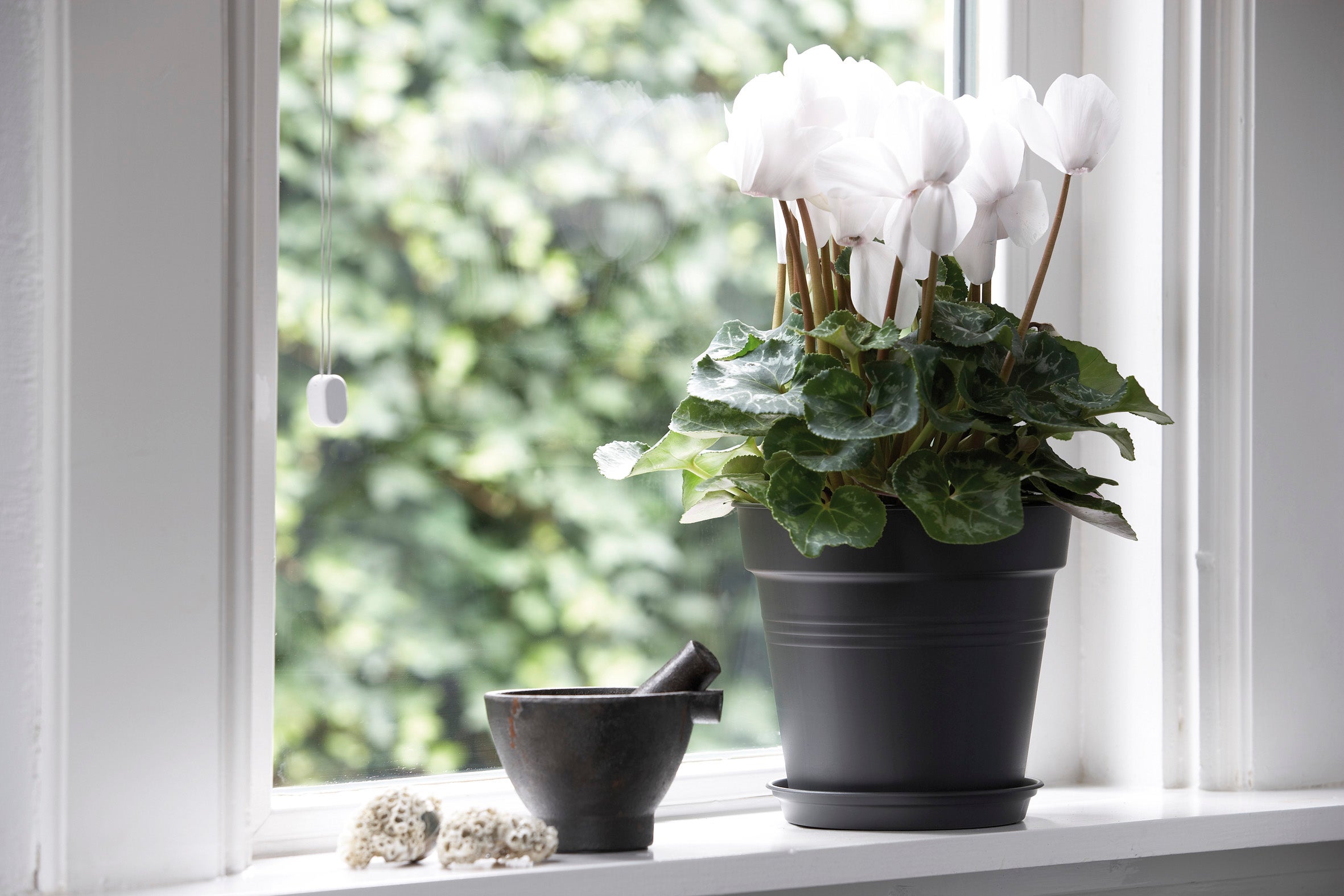 Pot plastique ELHO Diam.11 L.11 x l.11 x H.10.1 cm noir - 3