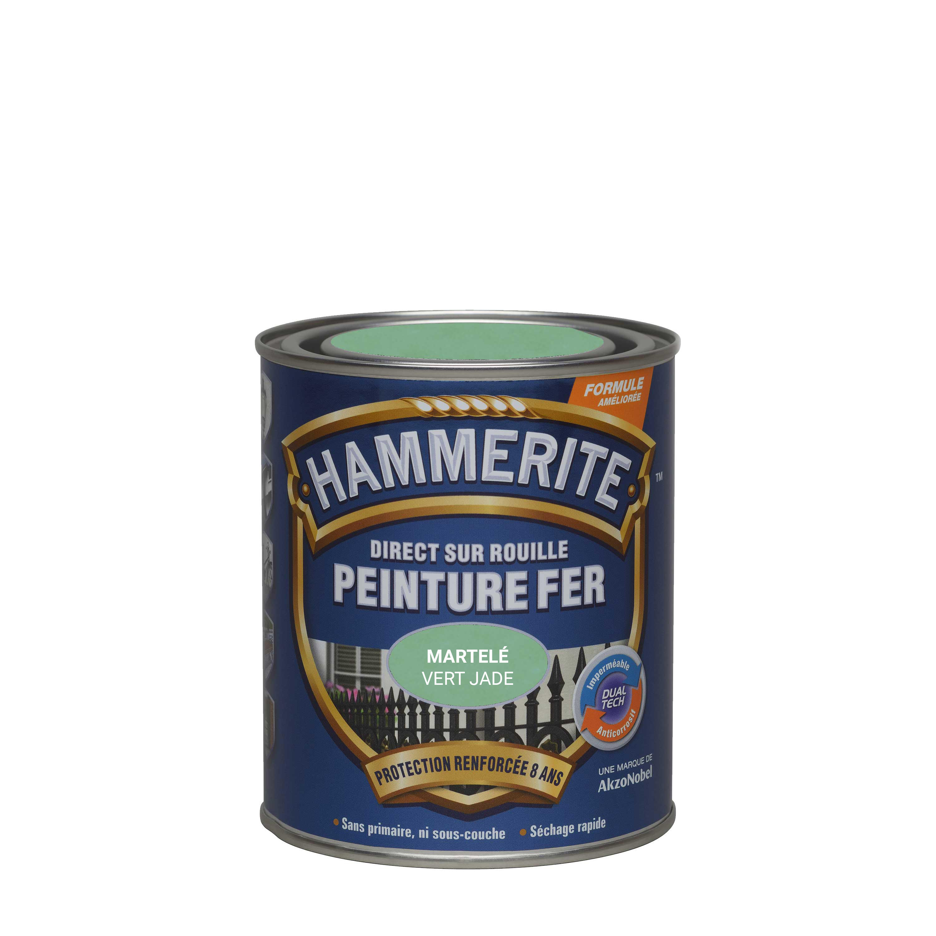 Peinture extérieure fer Martelé HAMMERITE vert jade mat  0.75l - 3
