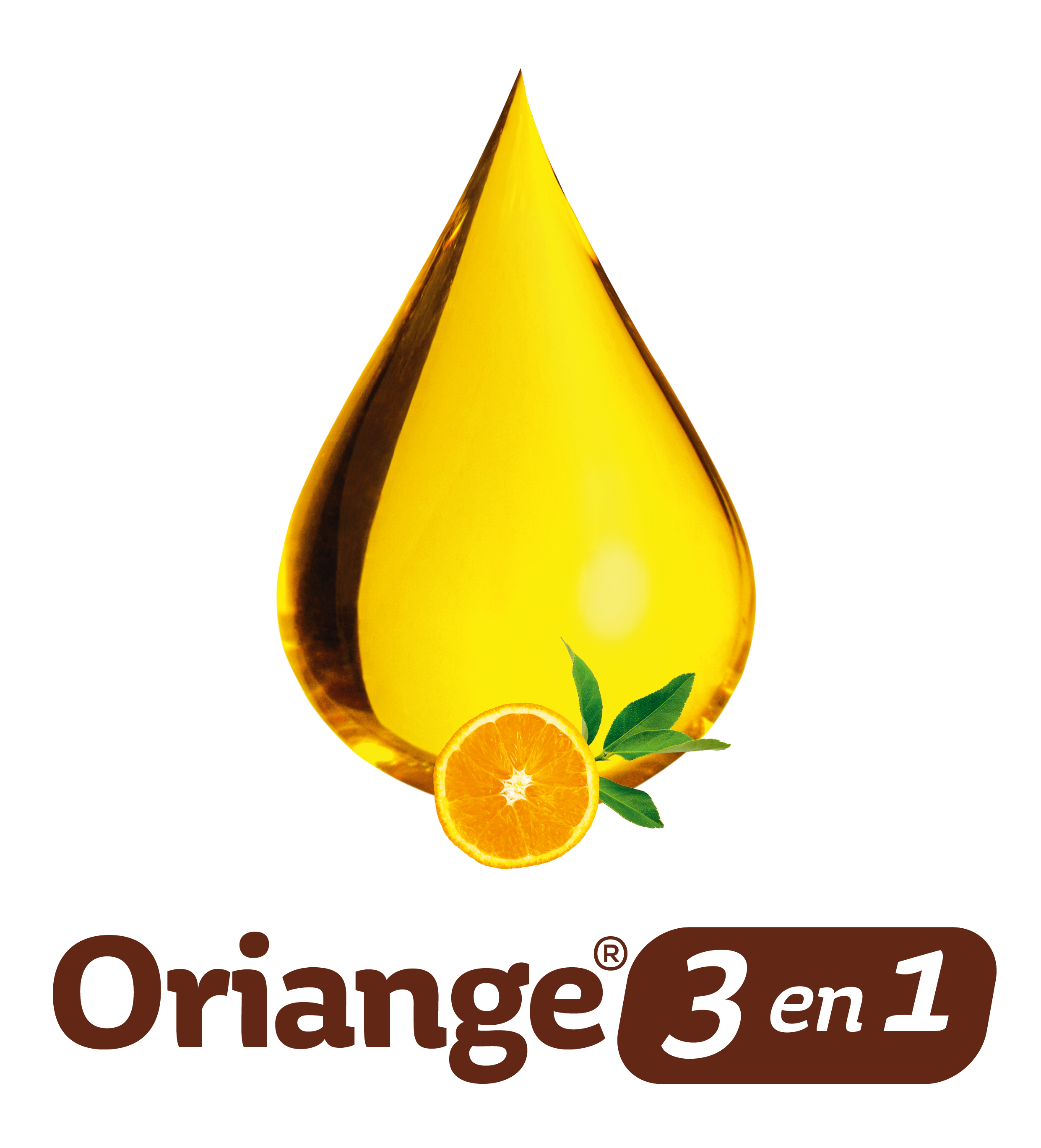 Traitement potager et fruitiers SOLABIOL,100 ml - 5