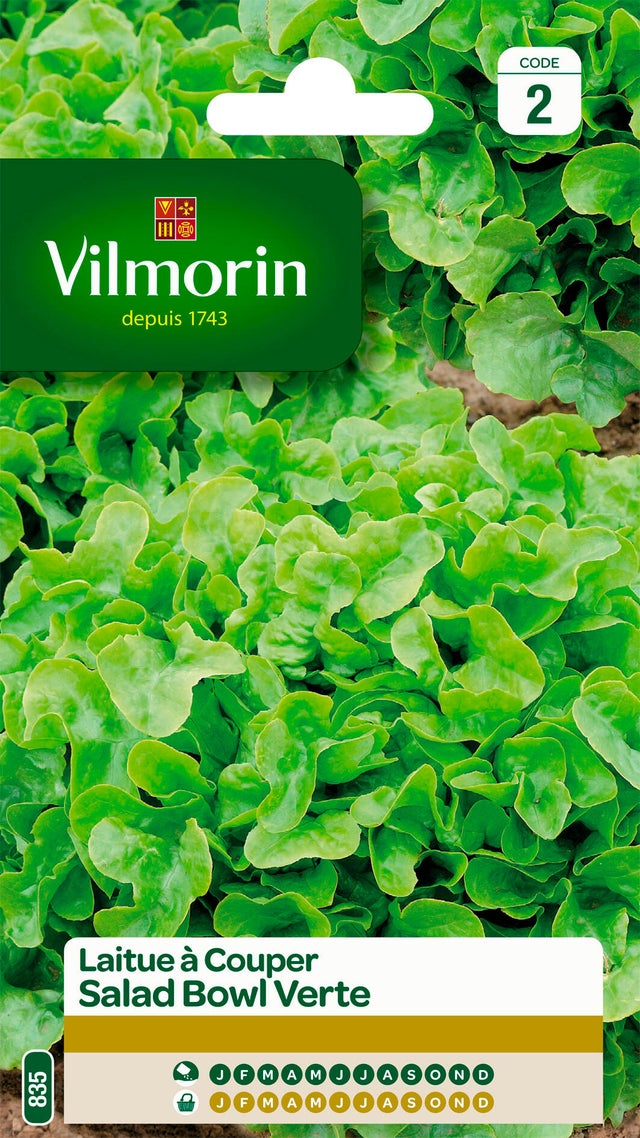 Laitue à couper à couper salad bowl verte VILMORIN 4 g