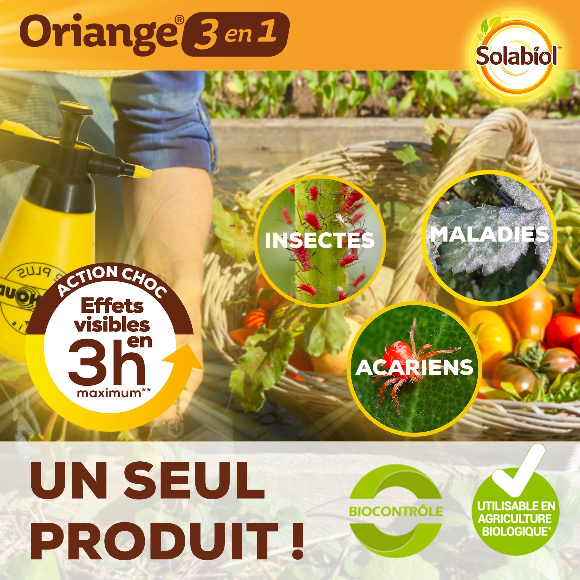 Traitement potager et fruitiers SOLABIOL,100 ml - 3