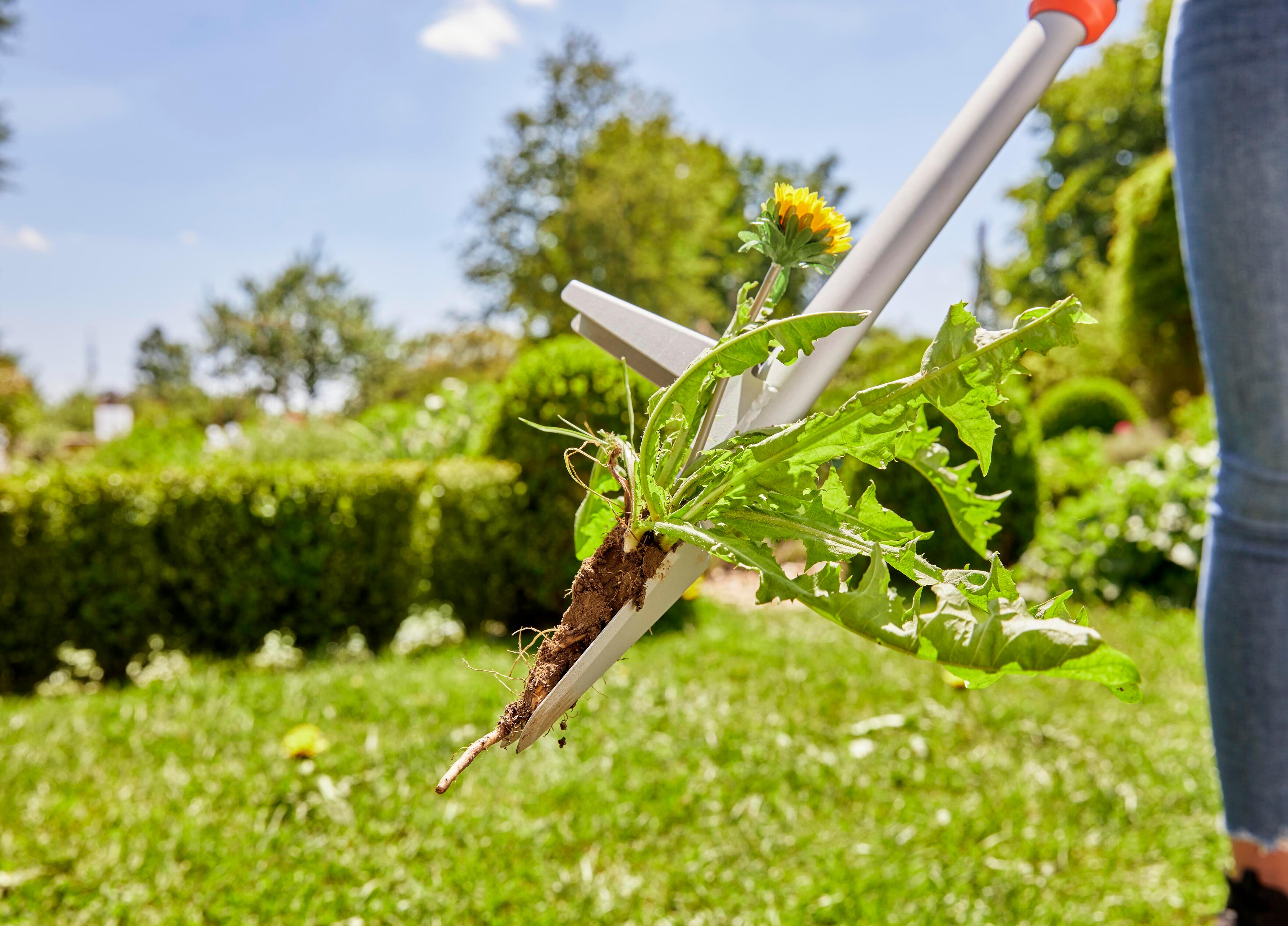 Désherbeur à main GARDENA L.100 cm 3518-26 - 4