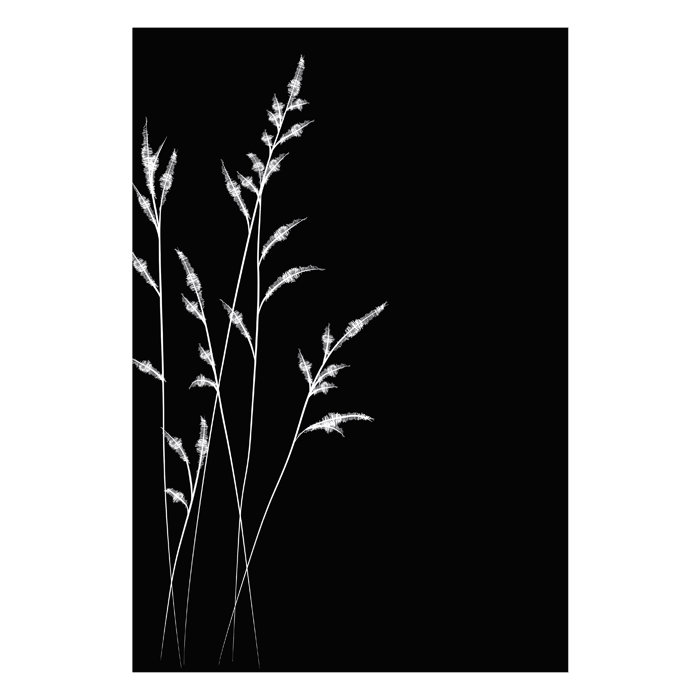 Plaque de protection murale Dixneuf 