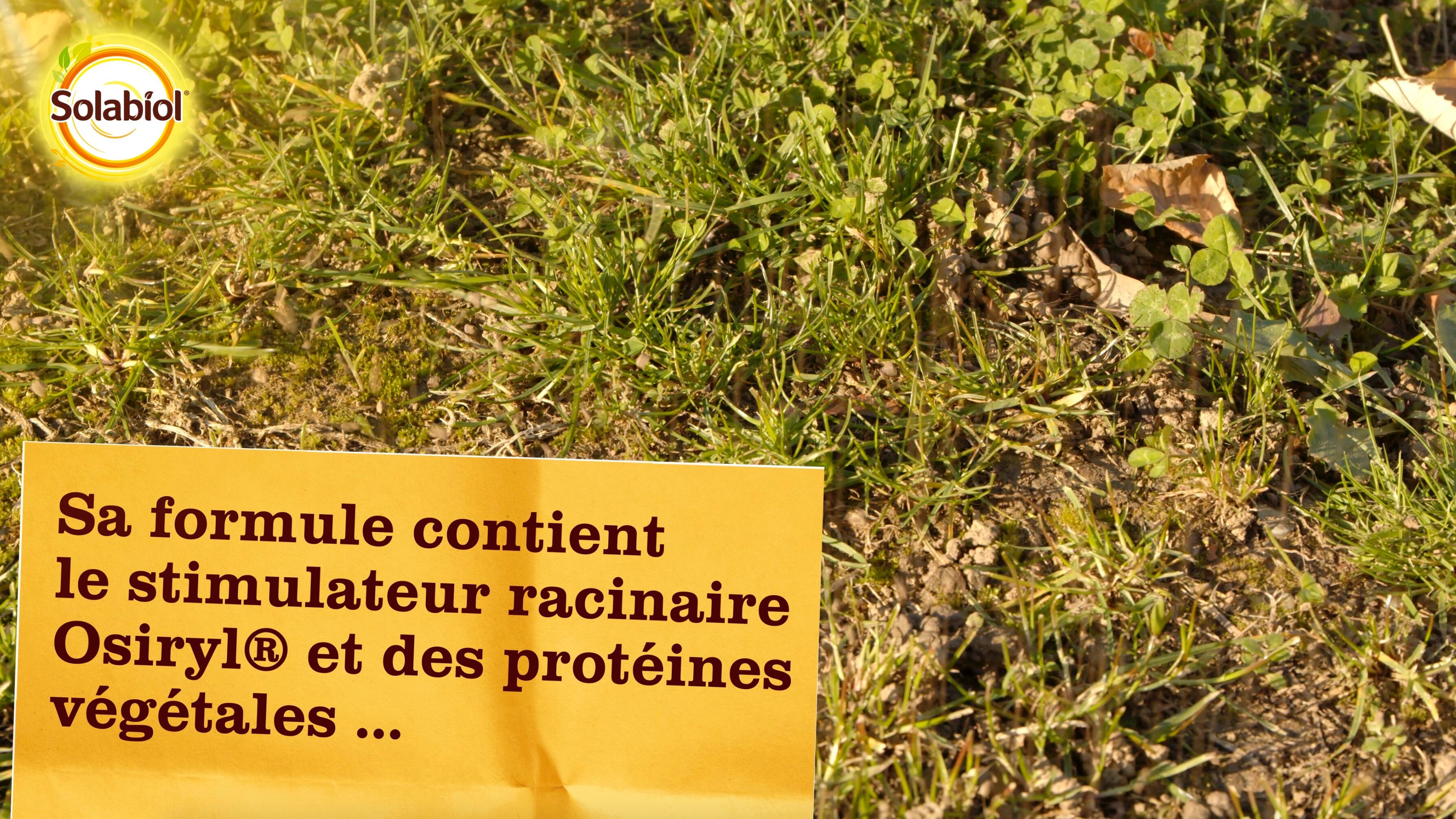Engrais pelouse SOLABIOL 250 m² - 5