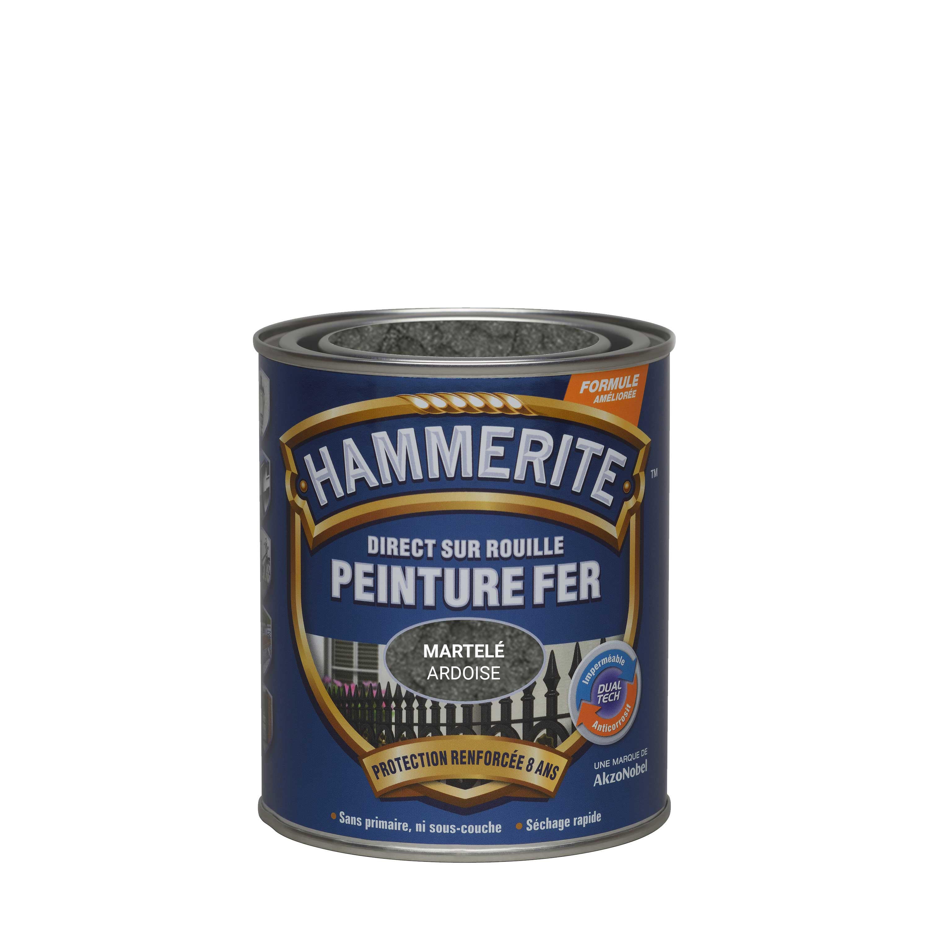 Peinture extérieure fer Martelé HAMMERITE gris ardoise mat  0.75l - 3