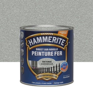 Peinture extérieure fer Forgé HAMMERITE acier brossé mat  2.5l