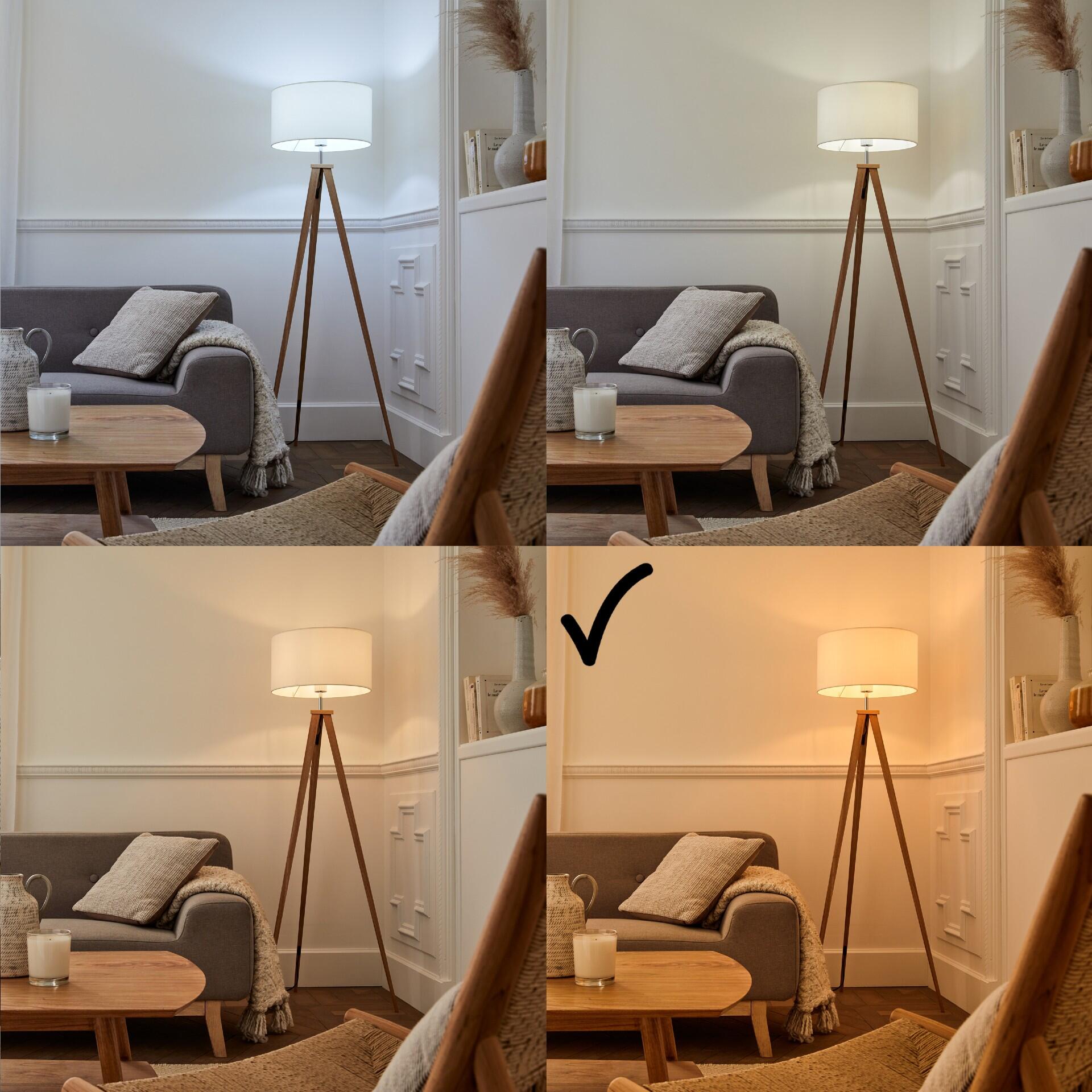 Ampoule led décorative, globe 95mm E27, 806lm = 60W, blanc chaud, XANLITE - 3