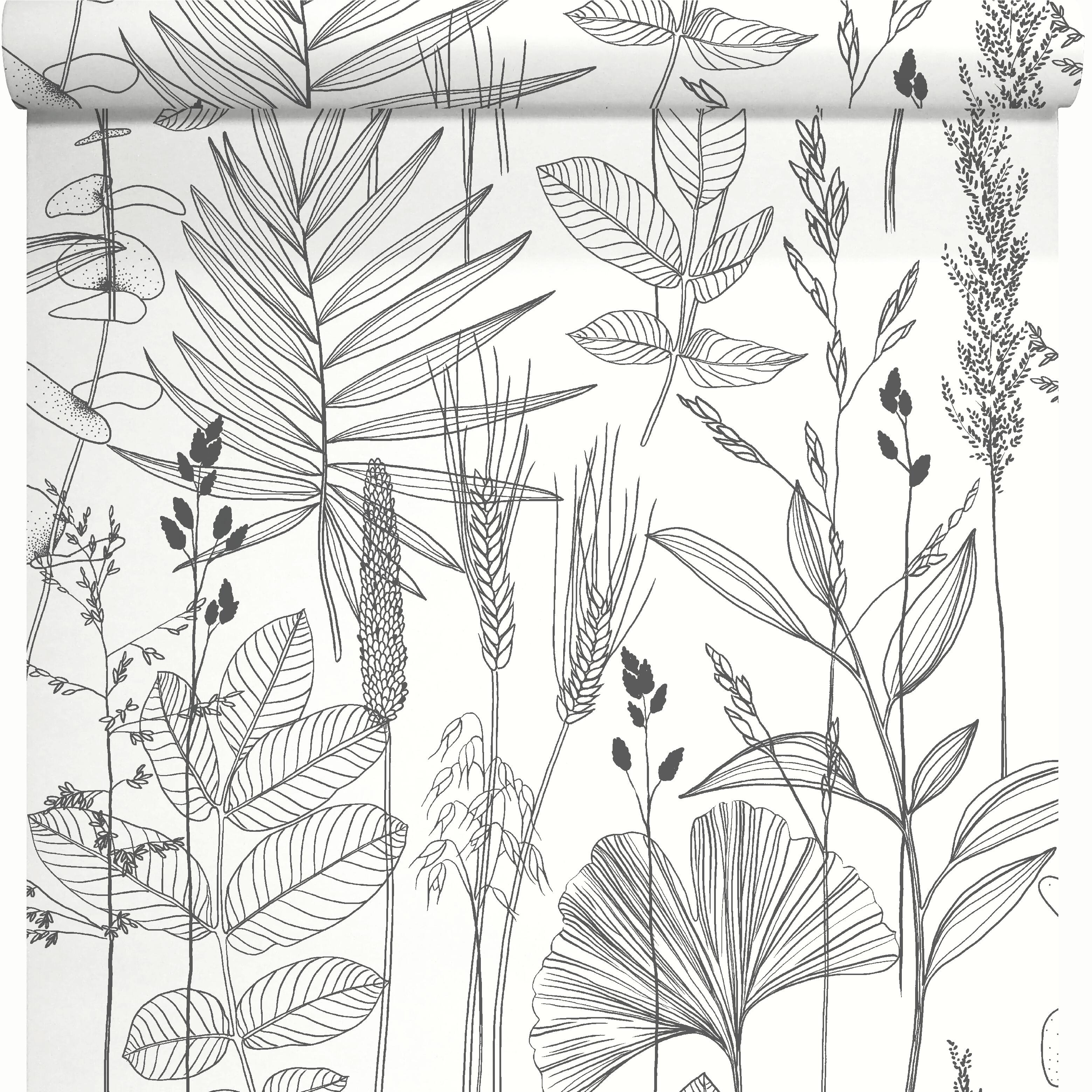 Papier peint intissé Graminé noir - 3