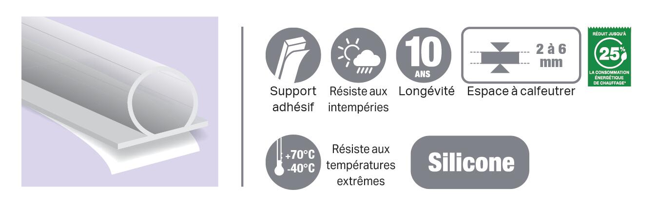 Joint de porte et fenêtre très mauvais état Premium 3M 2à6 mm, L.6 m transparent - 6