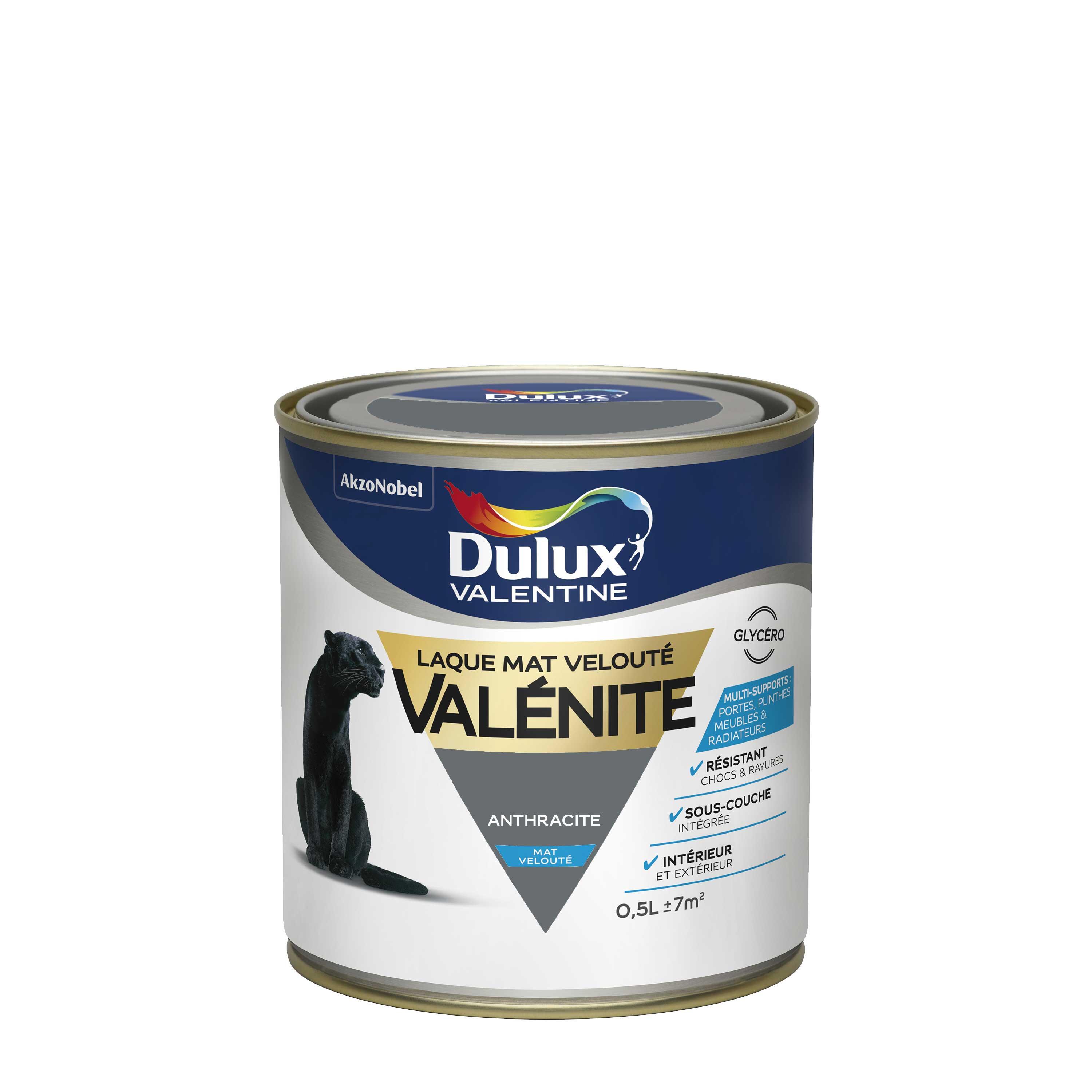 Peinture boiserie, radiateur anthracite mat DULUX VALENTINE Valénite glycéro 0.5 - 4