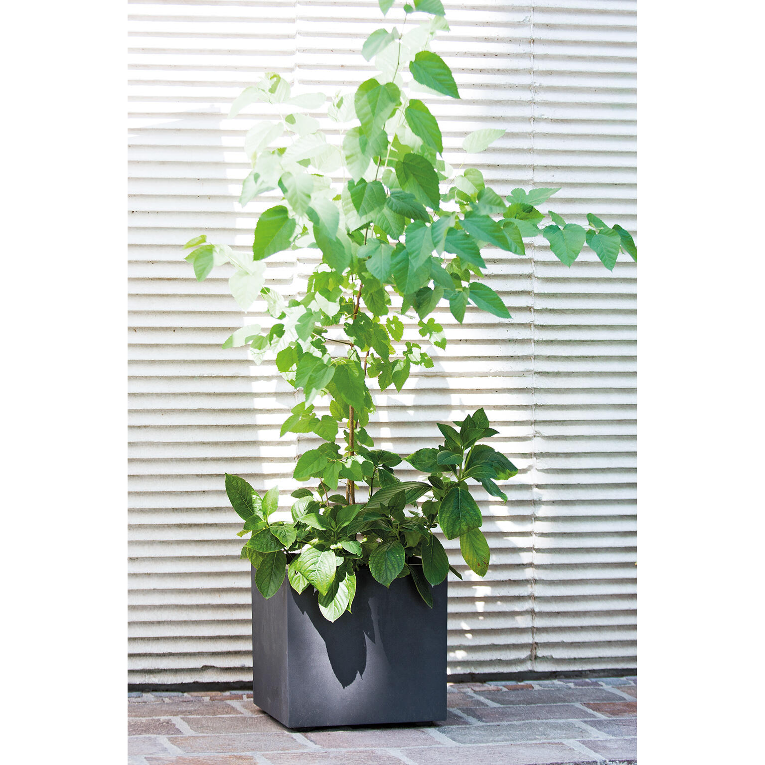 Pot de fleur carré DEROMA L. 39 x l. 39  x H.39.1 cm gris - 4