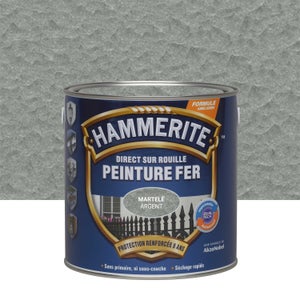 Peinture extérieure fer Martelé HAMMERITE gris argent mat  2.5l