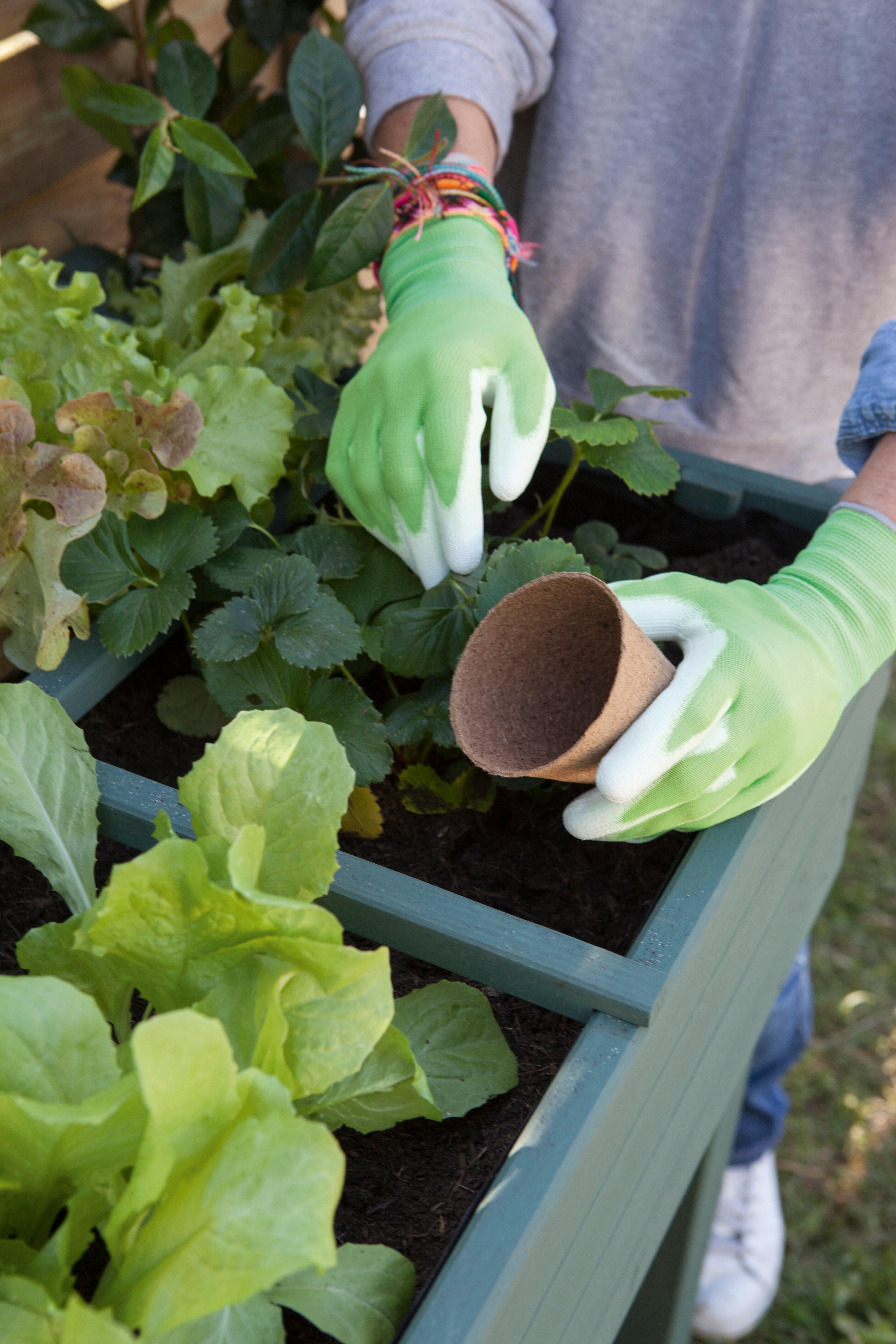 Paire de gants pour travaux de jardinage polyuréthane, T9 GEOLIA - 2