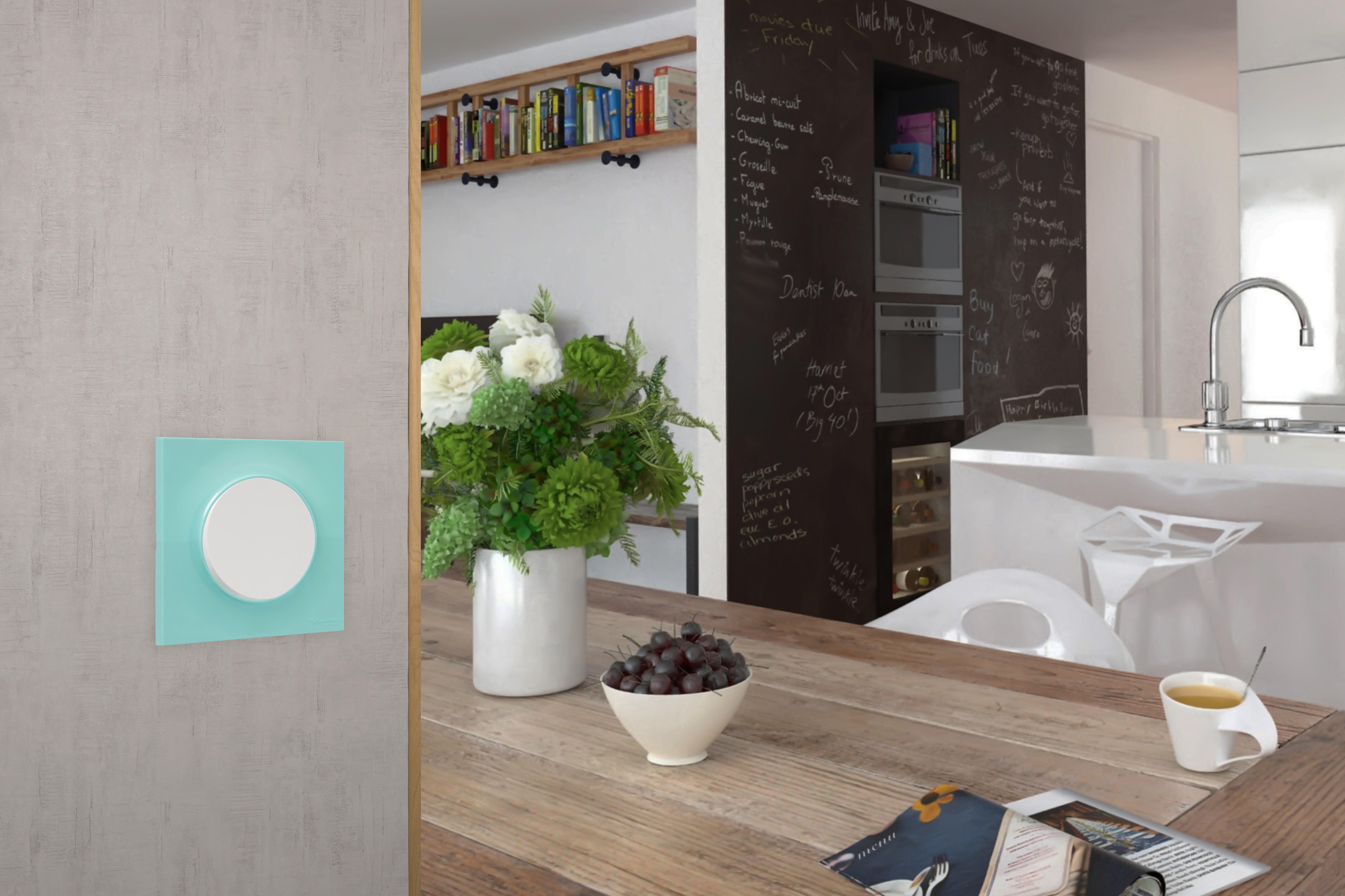 Poussoir à assembler Odace, SCHNEIDER ELECTRIC, blanc - 10