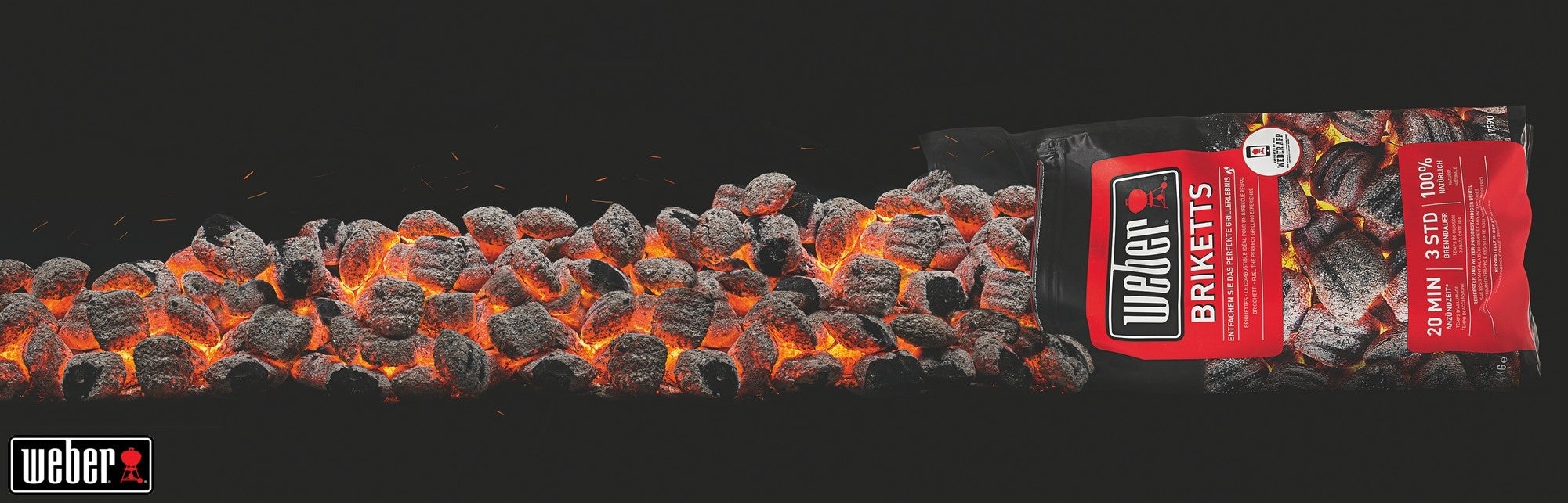 Bricchette di carbone WEBER 4 kg - 4