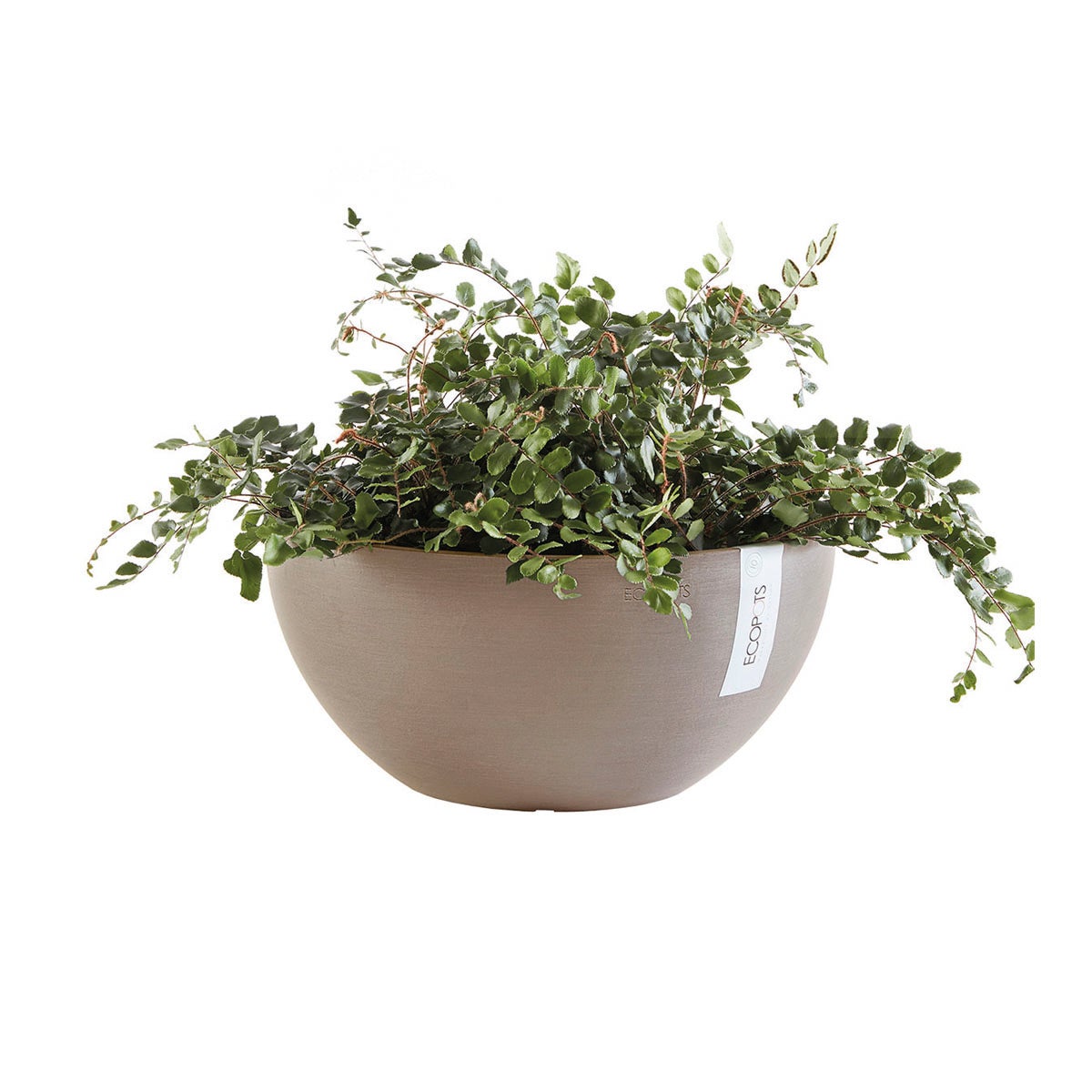 Vaso Brussels ECOPOT'S in polipropilene tortora H 12 x ø 25 cm - 2