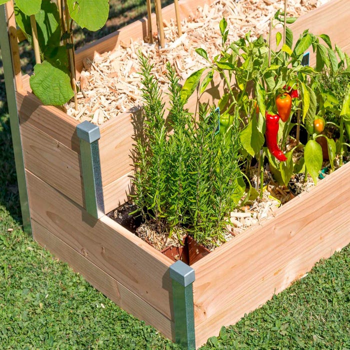 Carré potager