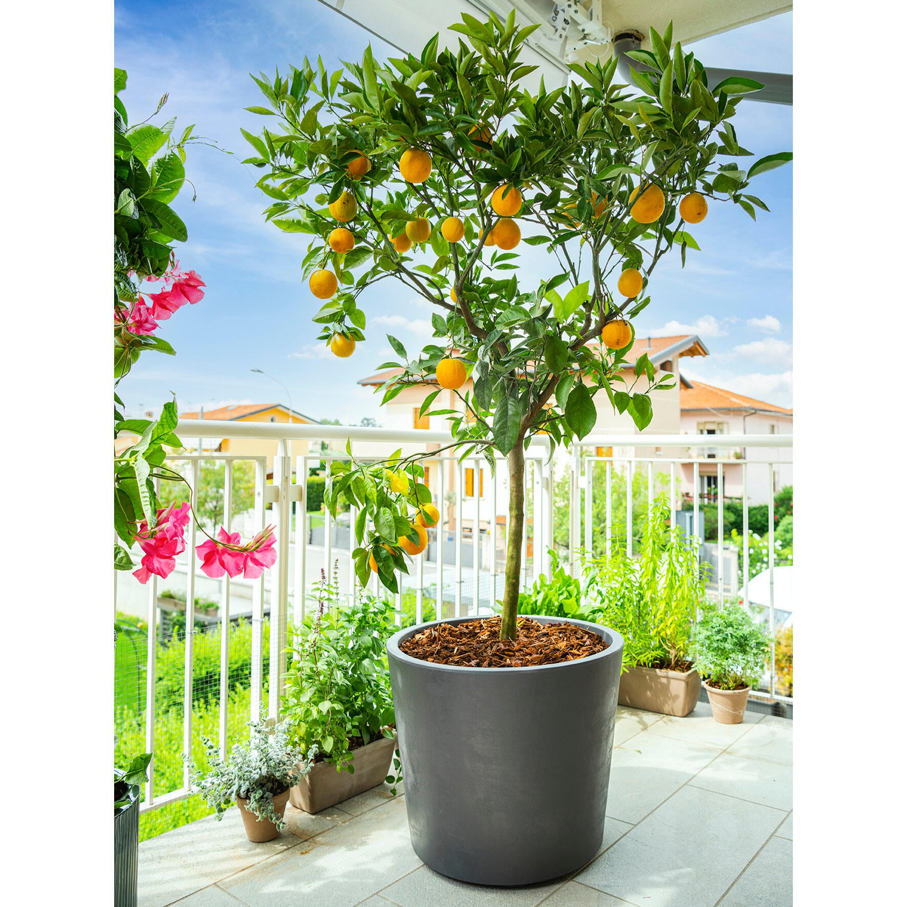 Pot plastique à réserve d'eau DEROMA Diam.59 H.49 cm gris anthracite - 2