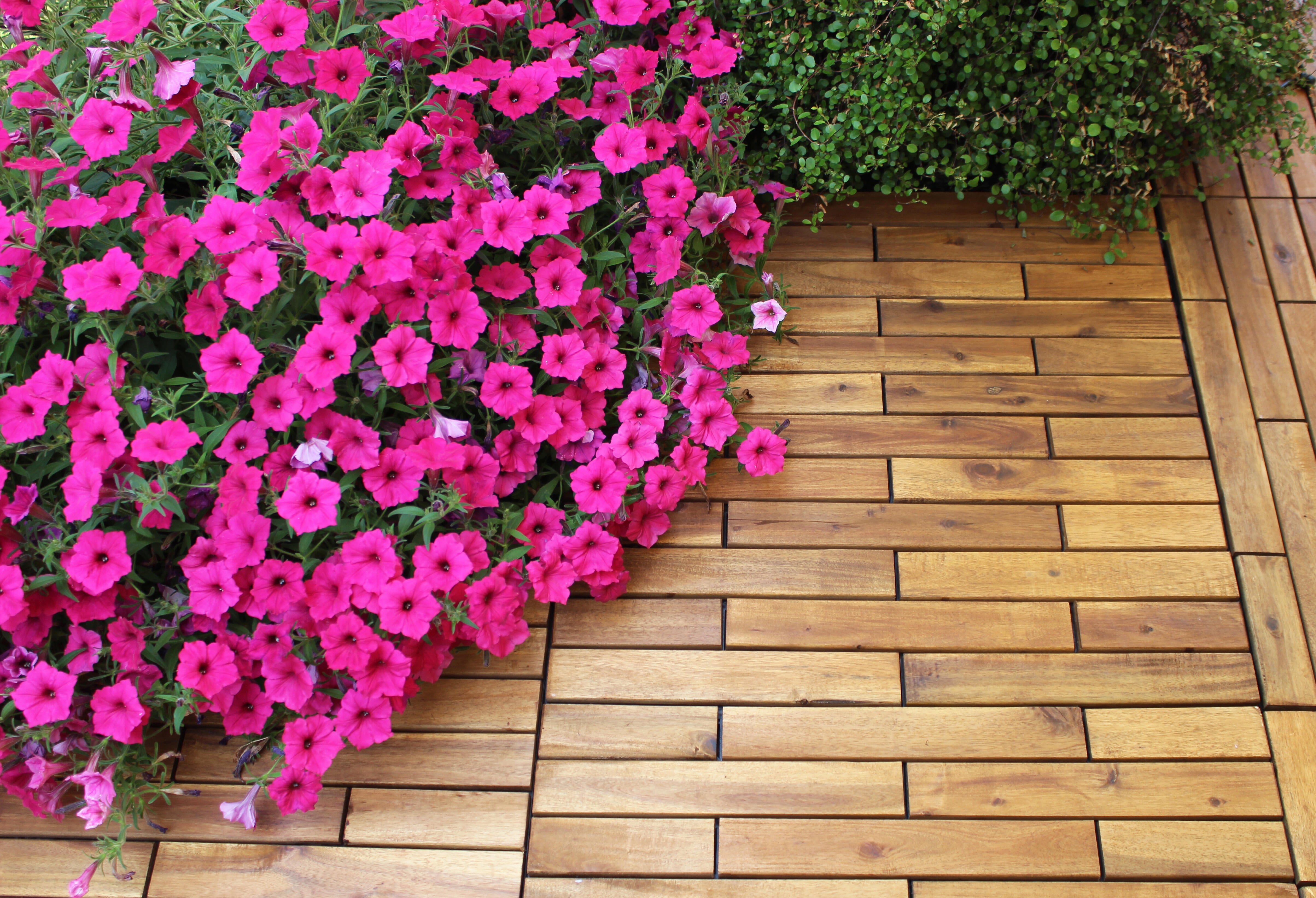 Baldosa encajable madera Acacia 30 x 60 cm y 25 mm amarillo ONEK - 7