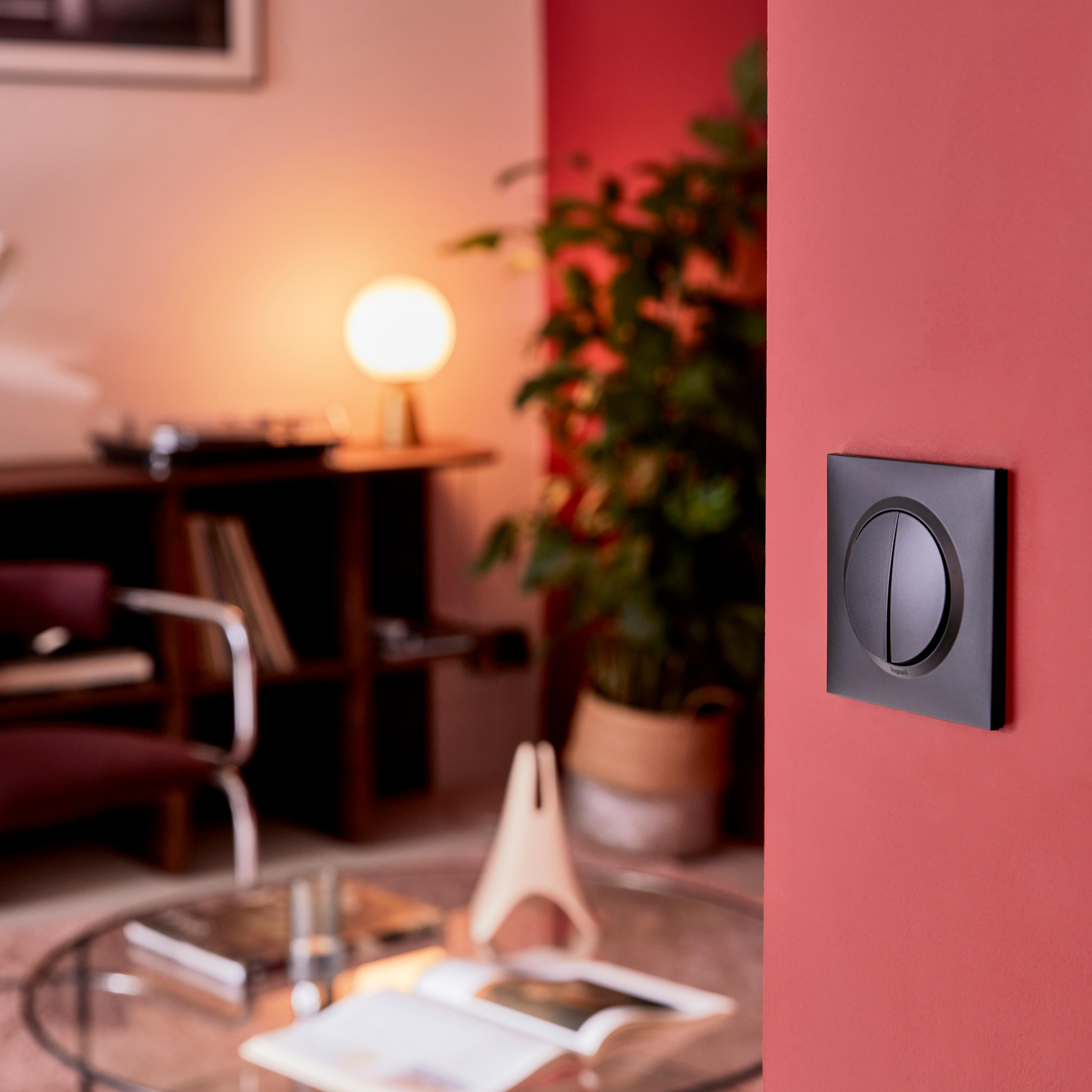 Double interrupteur va-et-vient, LEGRAND Dooxie, noir - 9