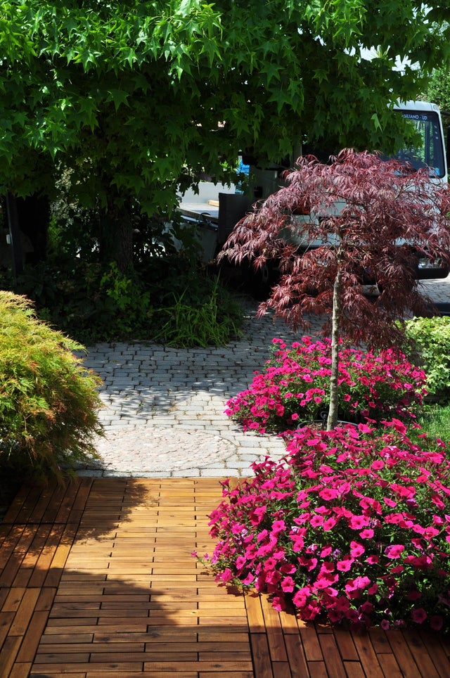 Piastrella a incastro in legno miele L 60 x L 30 cm x Sp. 25 mm