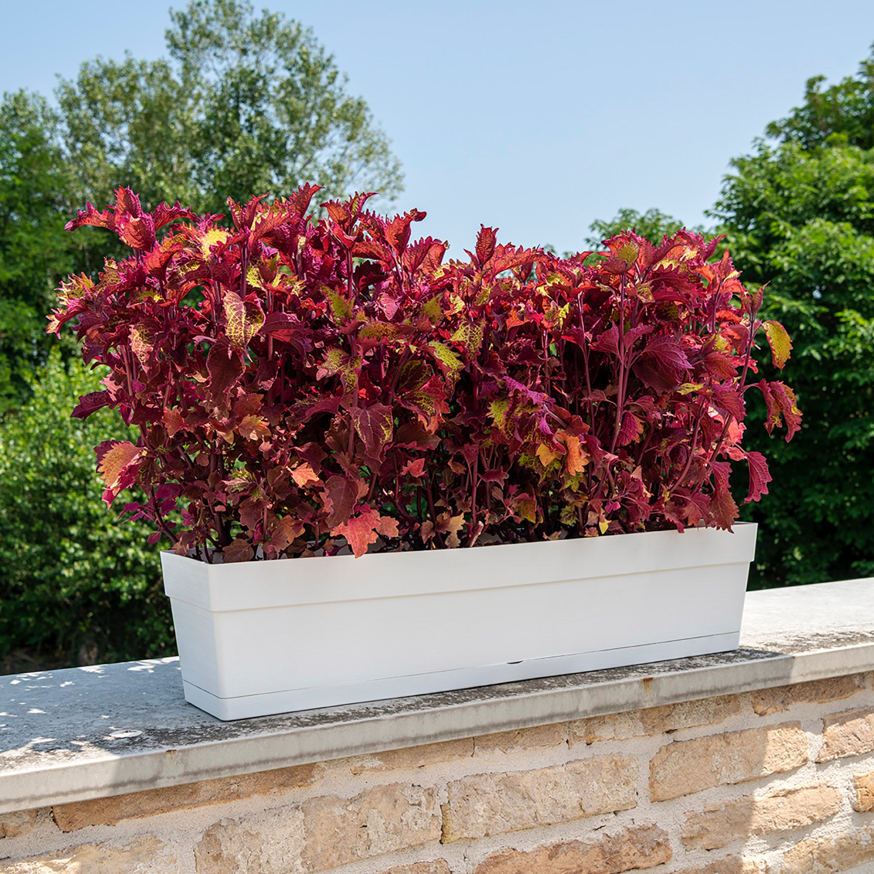 Jardinière polypropylène à réserve d