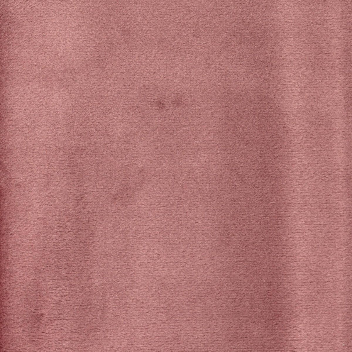 Tessuto Velluto Elasticizzato Extra Largo 150 Cm - 100% Poliestere, Rosa EP, Prezzo Al Metro - 2