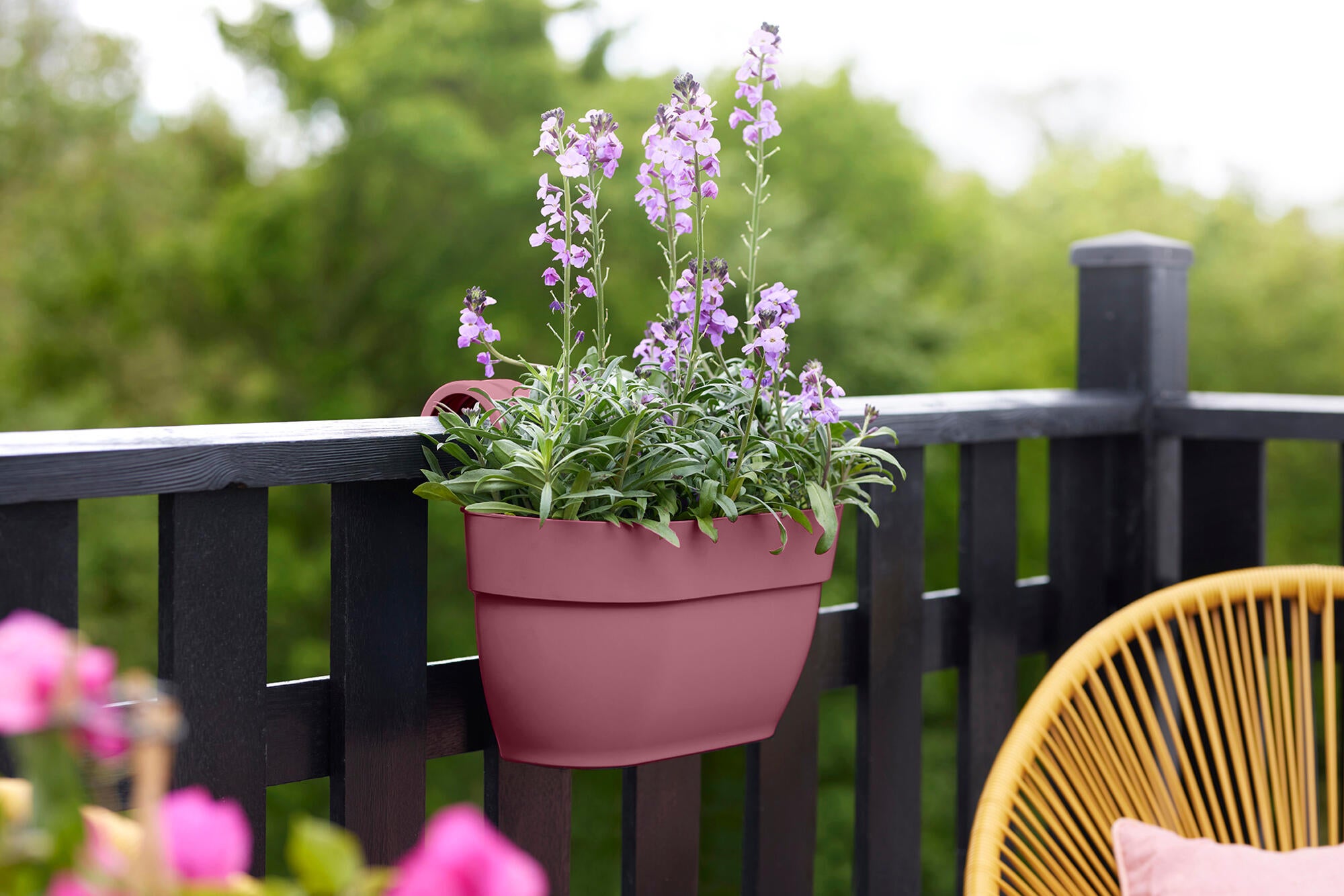 VIBIA EASY HANGER M ROSE - 3