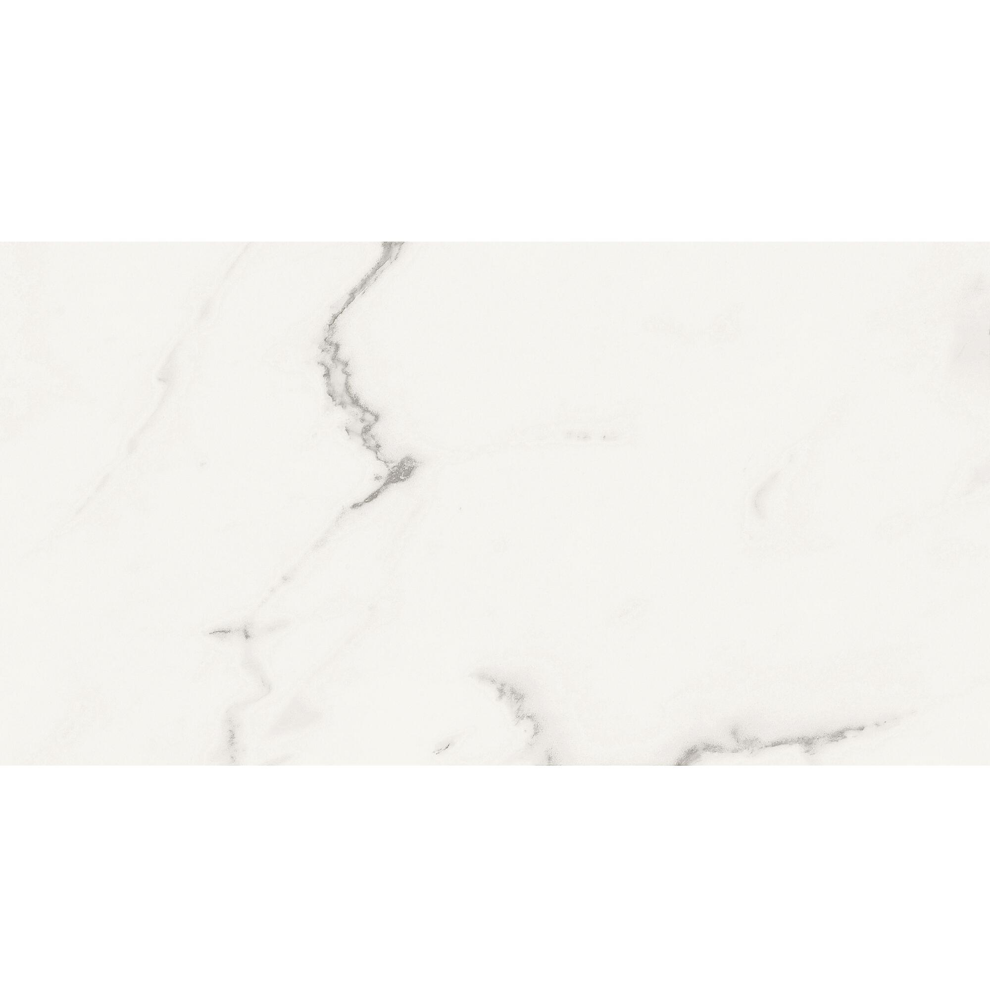 Carrelage mur intérieur effet marbre blanc Windsor l.30 x L.60 cm x Ep.10.3 mm A - 5
