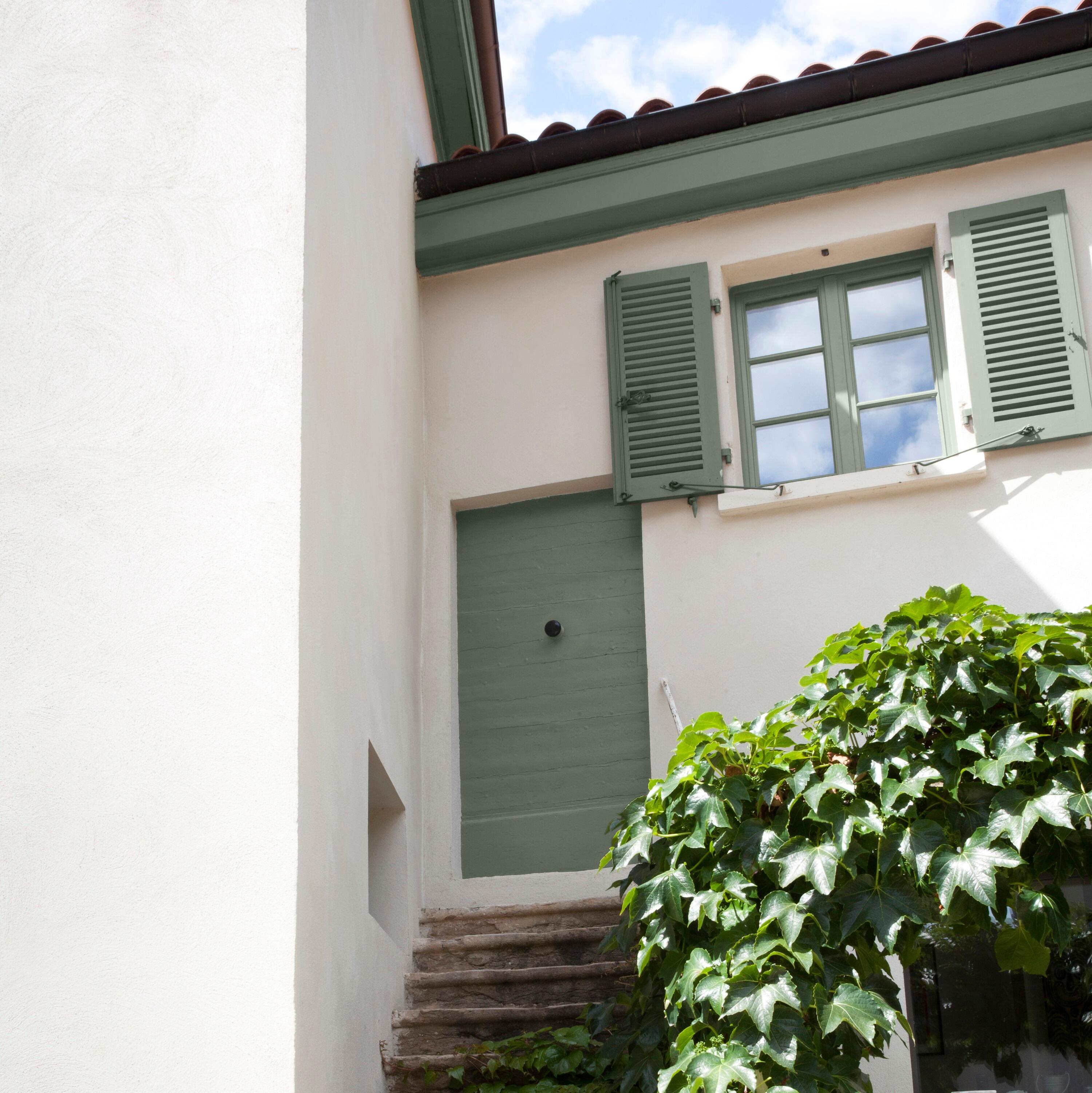 Peinture extérieure bois Climats extrêmes® V33 vert olivier satiné 0.5l - 5