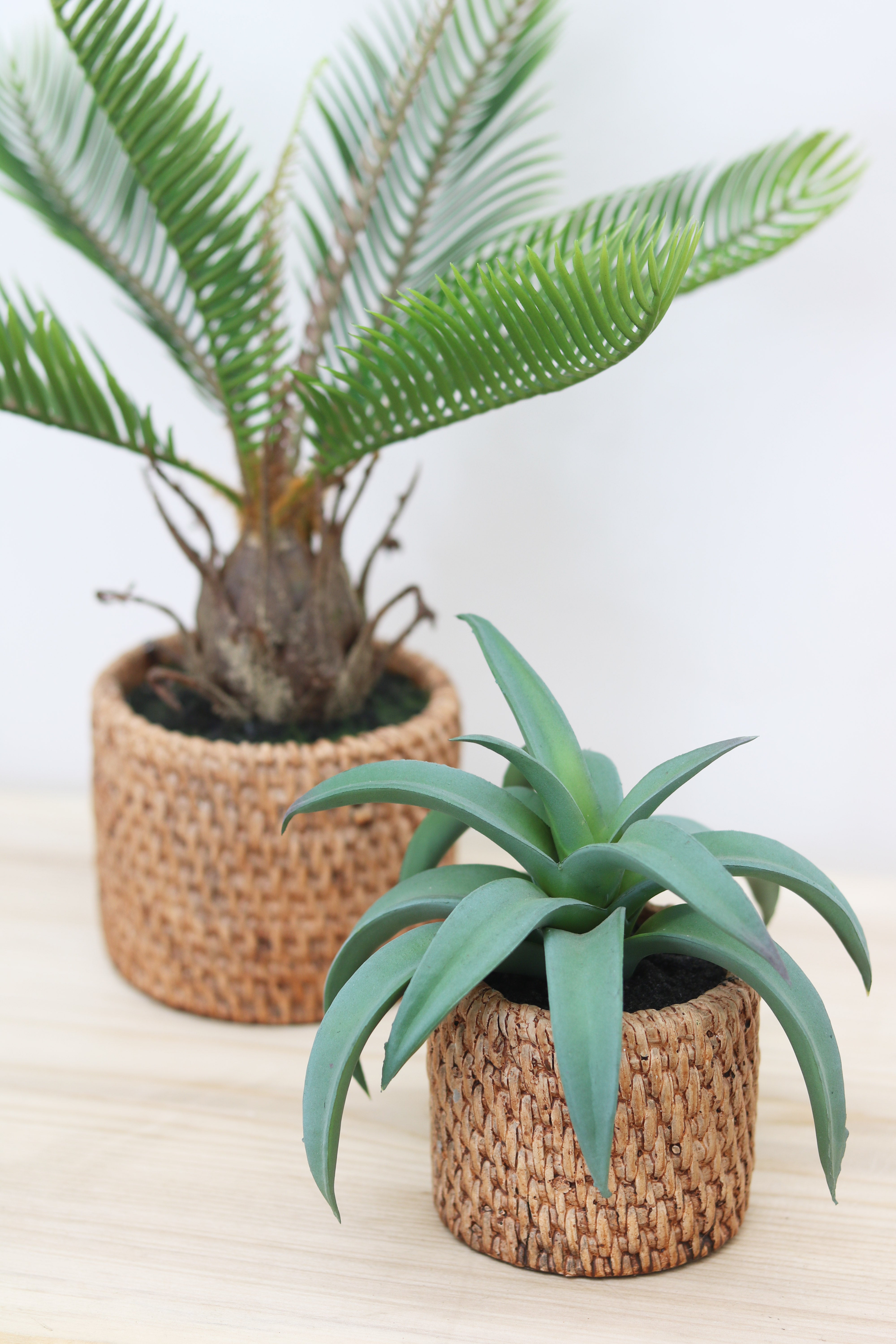 Aloe artificiel pot effet cannage H26cm, Ligne Déco - 2