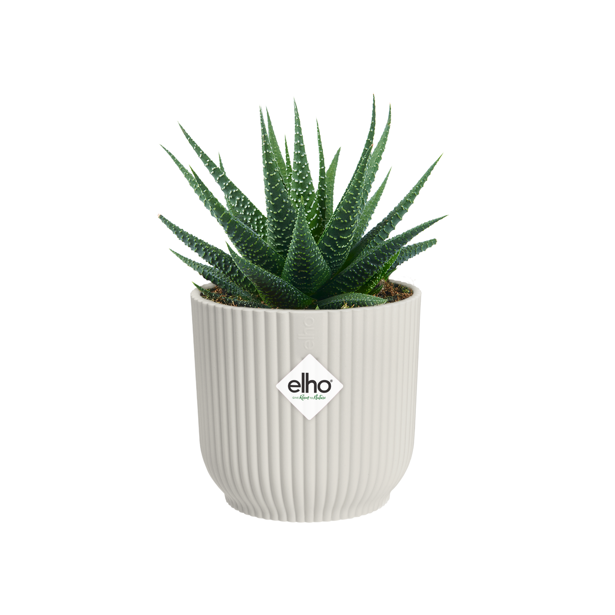 VIBES FOLD ROND MINI 11 BLANC - 4