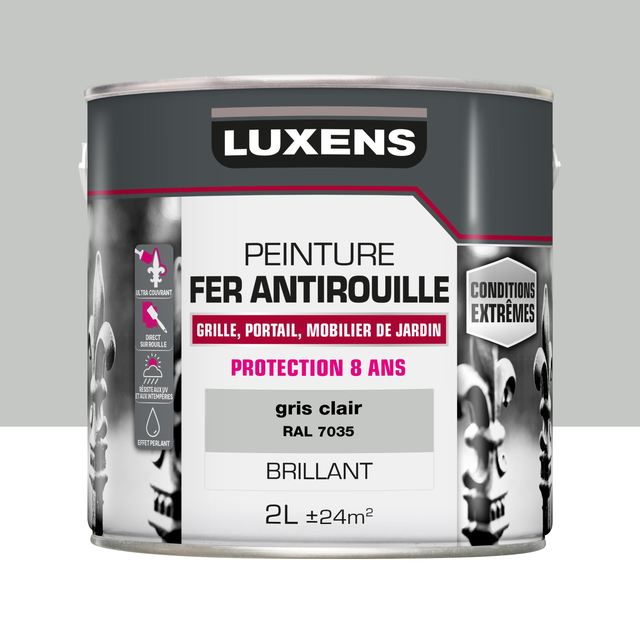 Peinture extérieure fonte, acier, fer Conditions extrêmes LUXENS gris clair bril