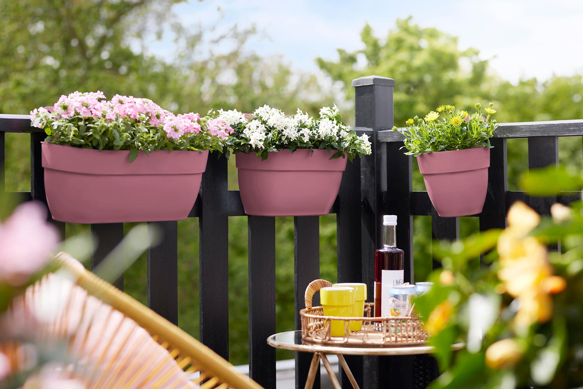 VIBIA EASY HANGER M ROSE - 2