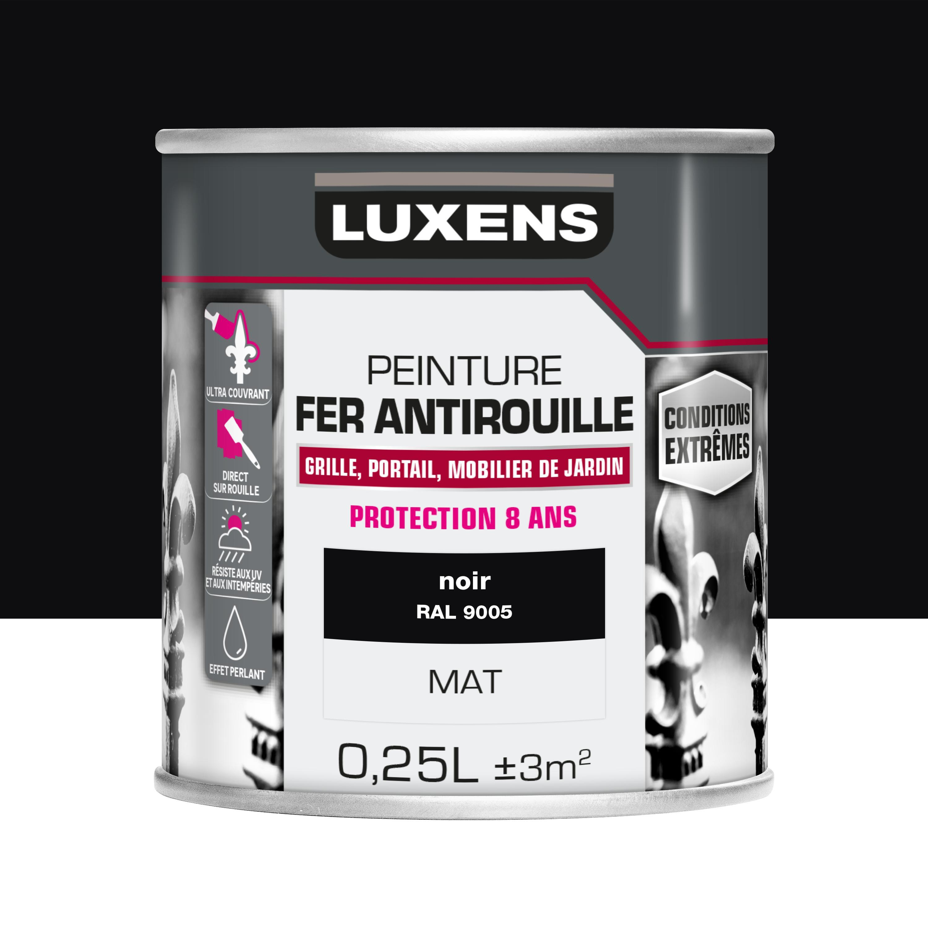 Peinture extérieure fer Conditions extrêmes LUXENS noir mat 0.25l - 3