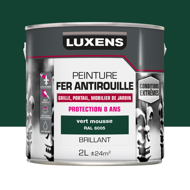 Peinture extérieure fonte, acier, fer Conditions extrêmes LUXENS vert mousse bri